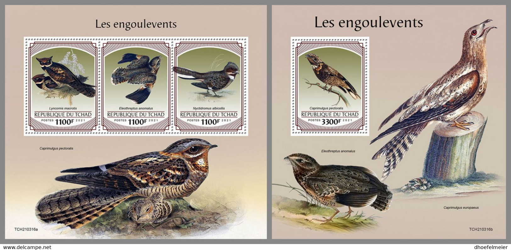 CHAD 2021 MNH Nightjars Nachtschwalben Engoulevents M/S+S/S - OFFICIAL ISSUE - DHQ2144 - Golondrinas