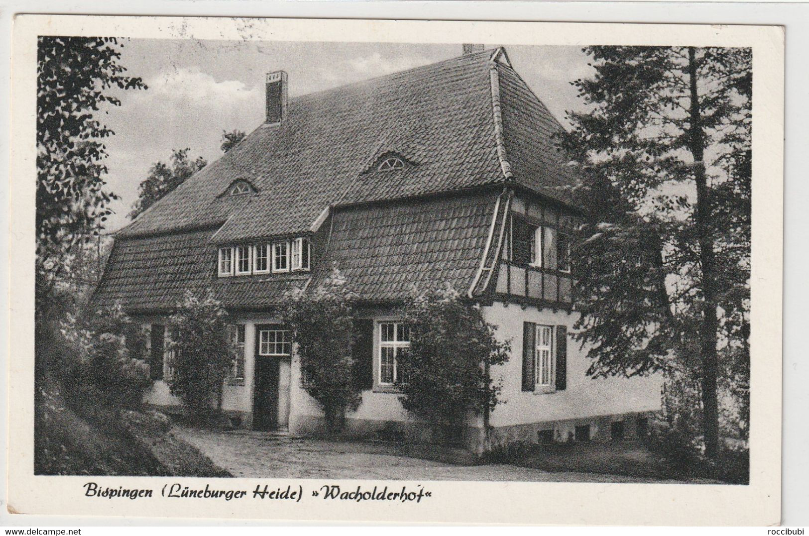 Lüneburger Heide, Bispingen, Wacholderhof - Lüneburger Heide