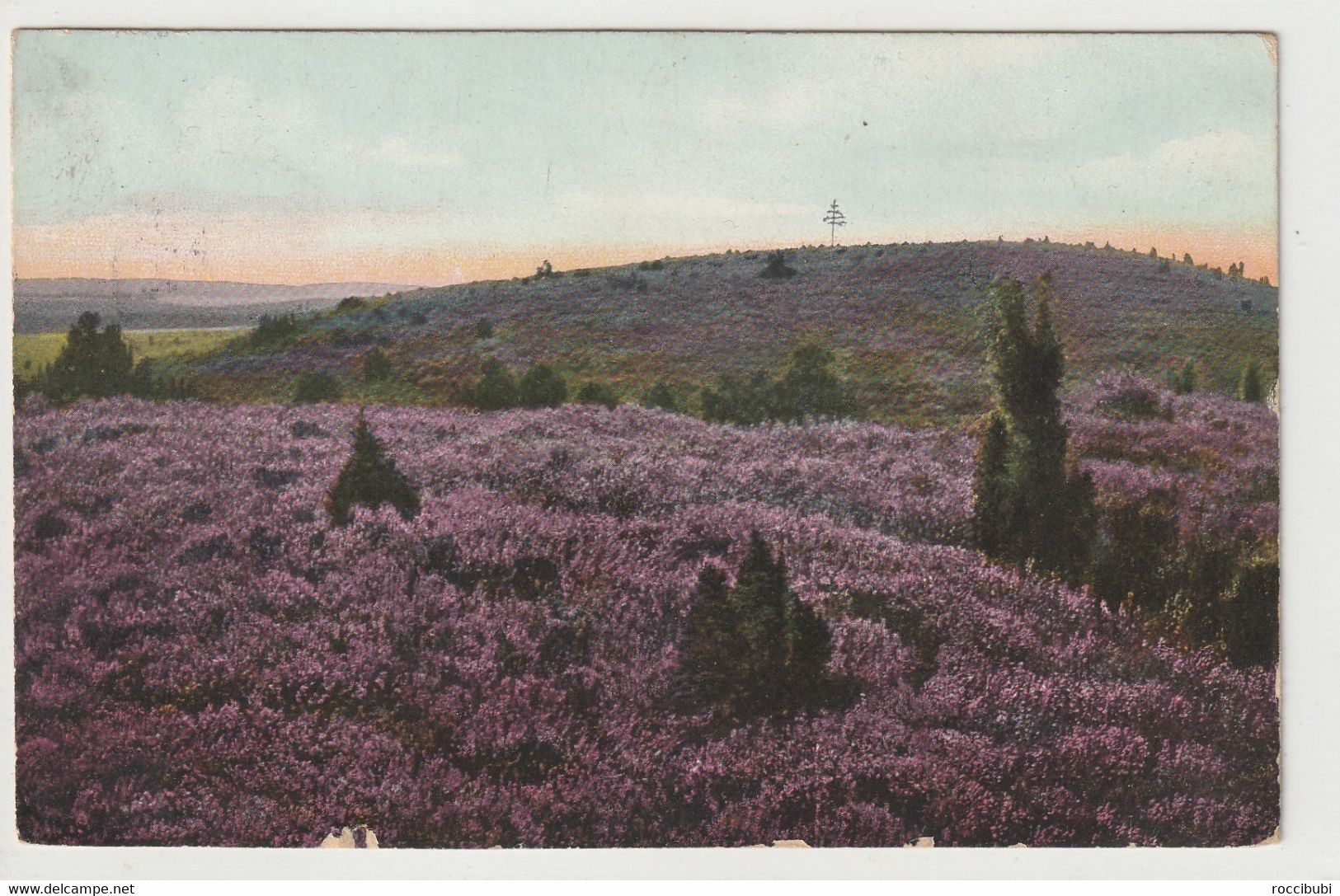 Lüneburger Heide - Lüneburger Heide