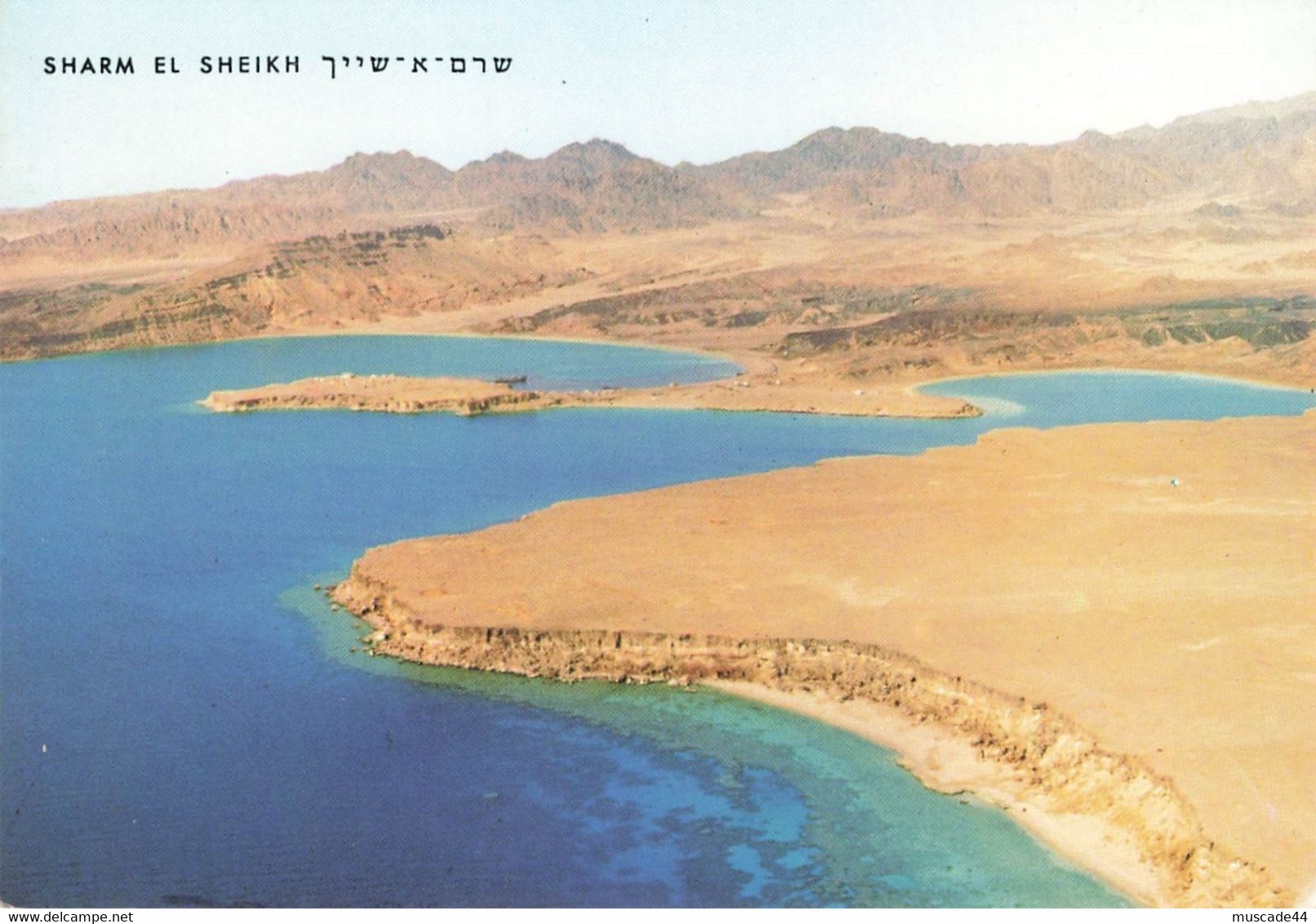 SHARM EL SHEIKH - Sharm El Sheikh