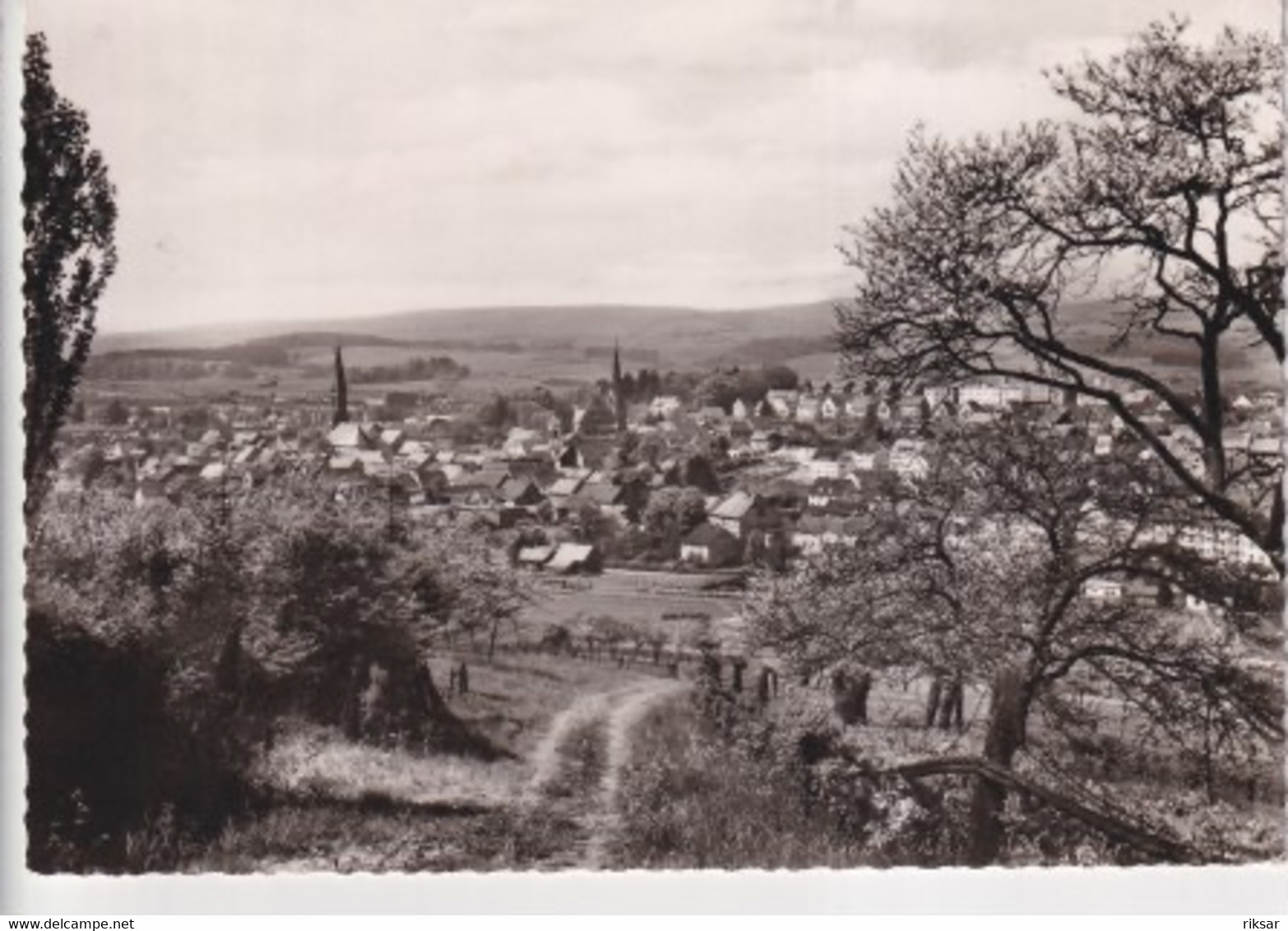 ALLEMAGNE(BIRKENFELD) ARBRE - Birkenfeld (Nahe)