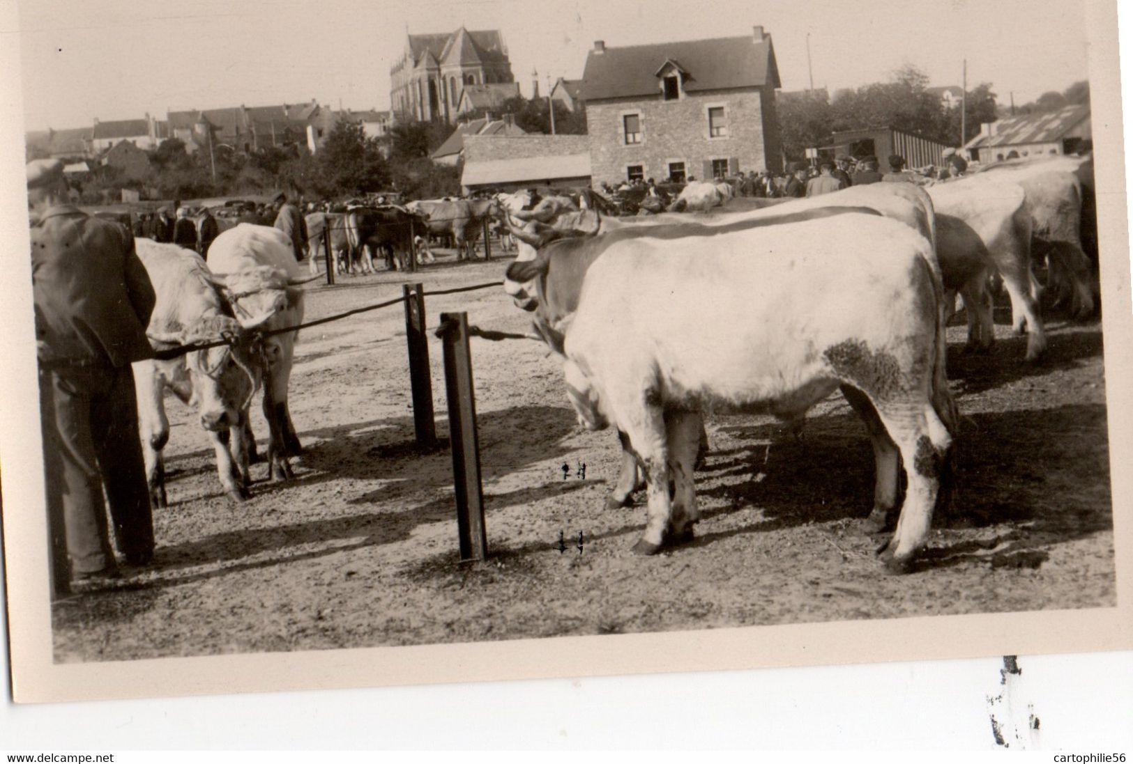 44 HERBIGNAC  - 30 - Le Champ De Foire - Herbignac