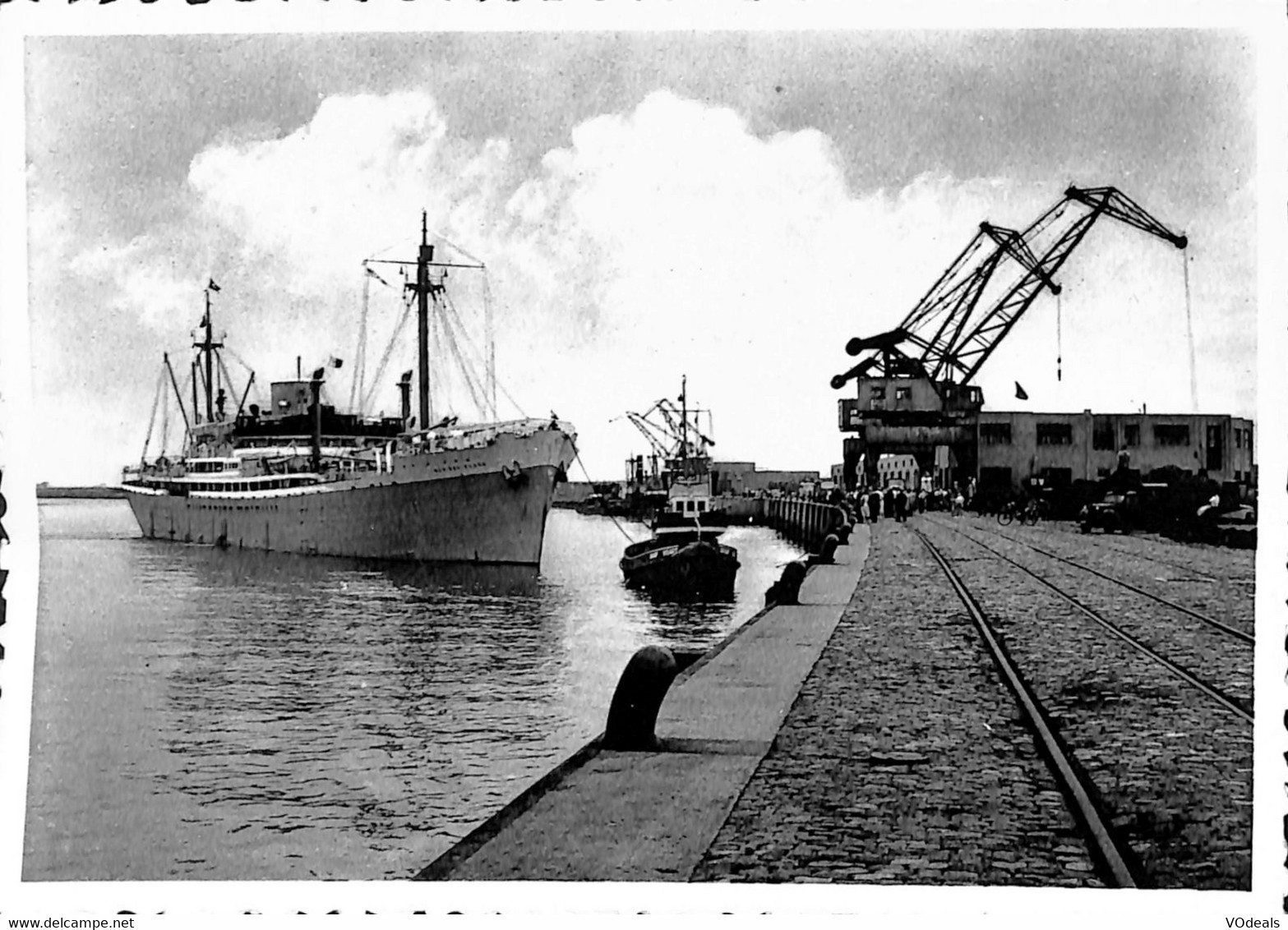 036 381 - CPM - Belgique - Zeebrugge - Accostage Du M/V Mar Del Plata - Zeebrugge