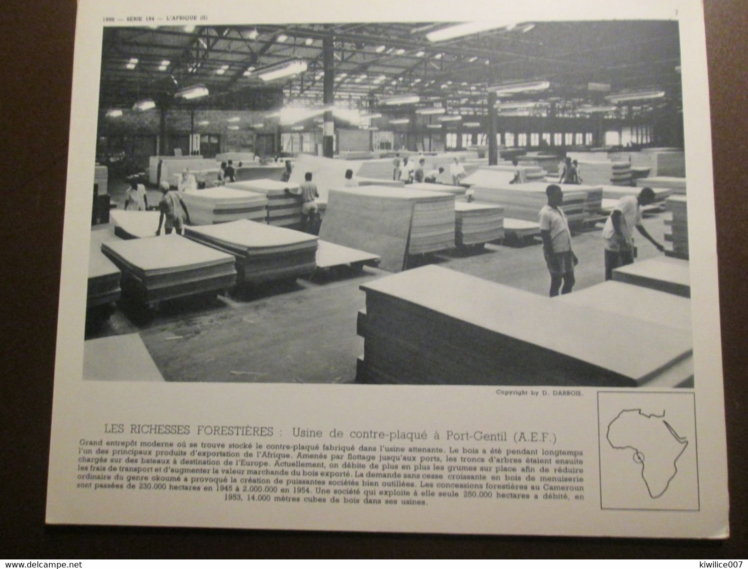 GABON Port-Gentil  USINE DE CONTRE PLAQUE BOIS      Documentation Phototograhique  1950 1960 - Gabon