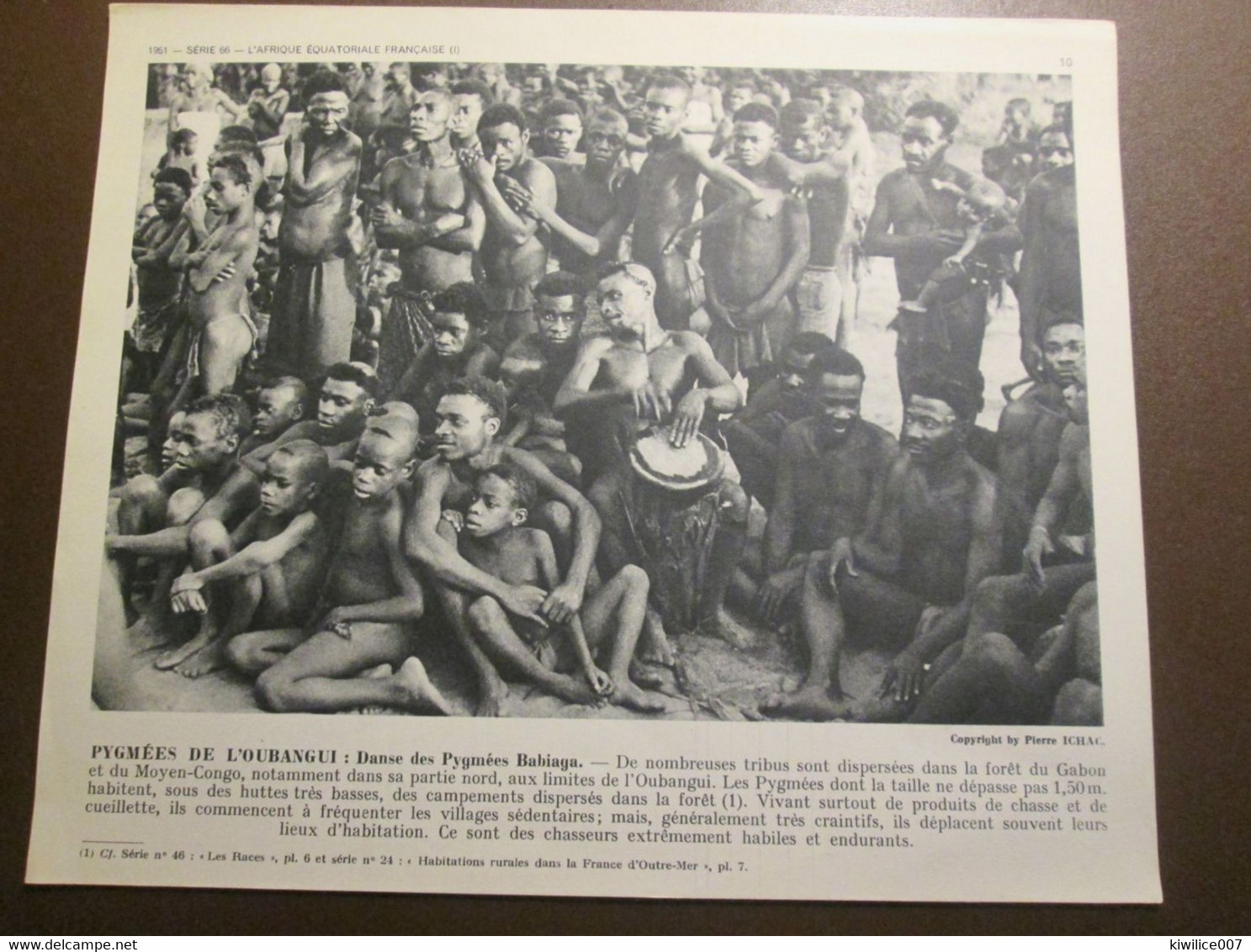 Pygmées  BABIAGA  Pres De L OUBANGUI     Documentation Phototograhique 1950 1960 - Gabon