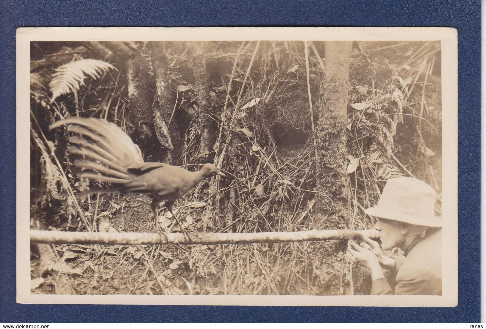 CPA Australie Carte Photo écrite Voir Dos - Altri & Non Classificati