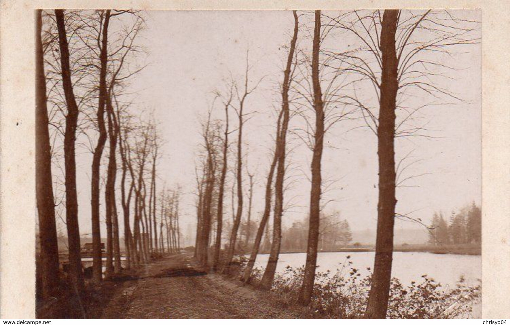 1V10 Sm  Photo Cartonnée Fin 19 Eme Environs De Bruxelles Le Lac Du Val Duchesse - Fotografía