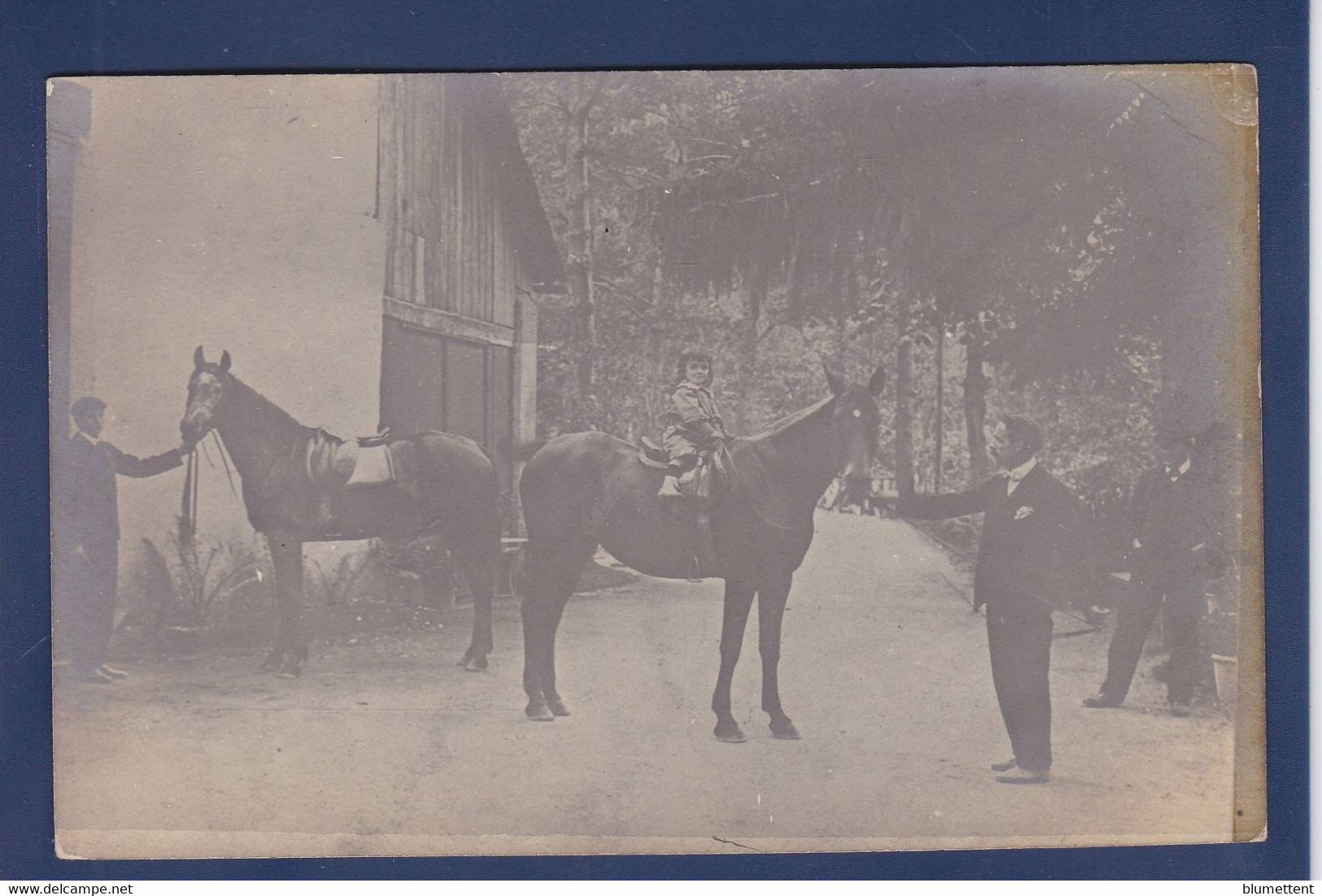 CPA Cheval Horse Carte Photo Non Circulé - Paarden