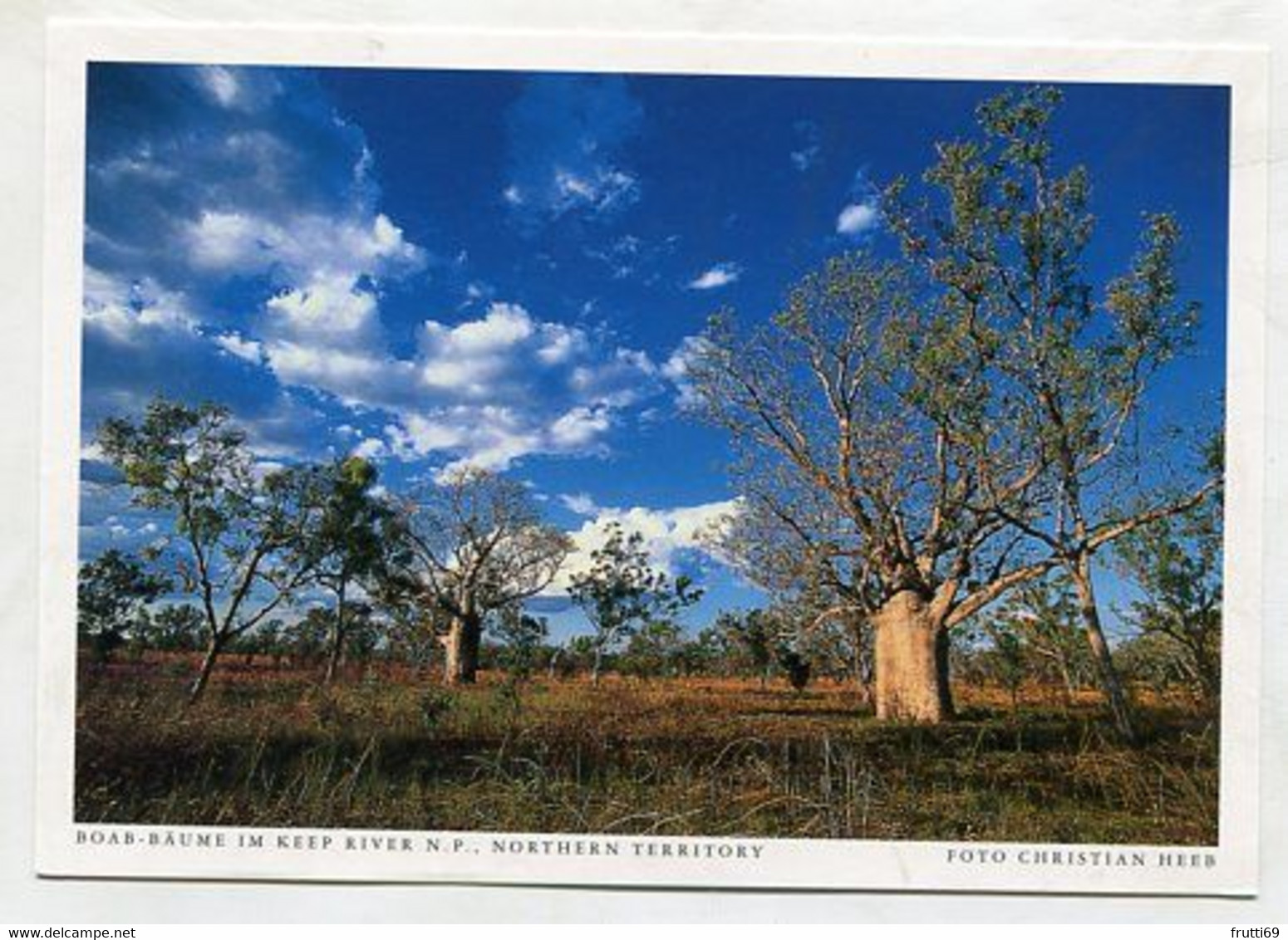 AK 06573 AUSTRALIA - Northern Territory - Keep River N. P. - Boab-Bäume - Zonder Classificatie