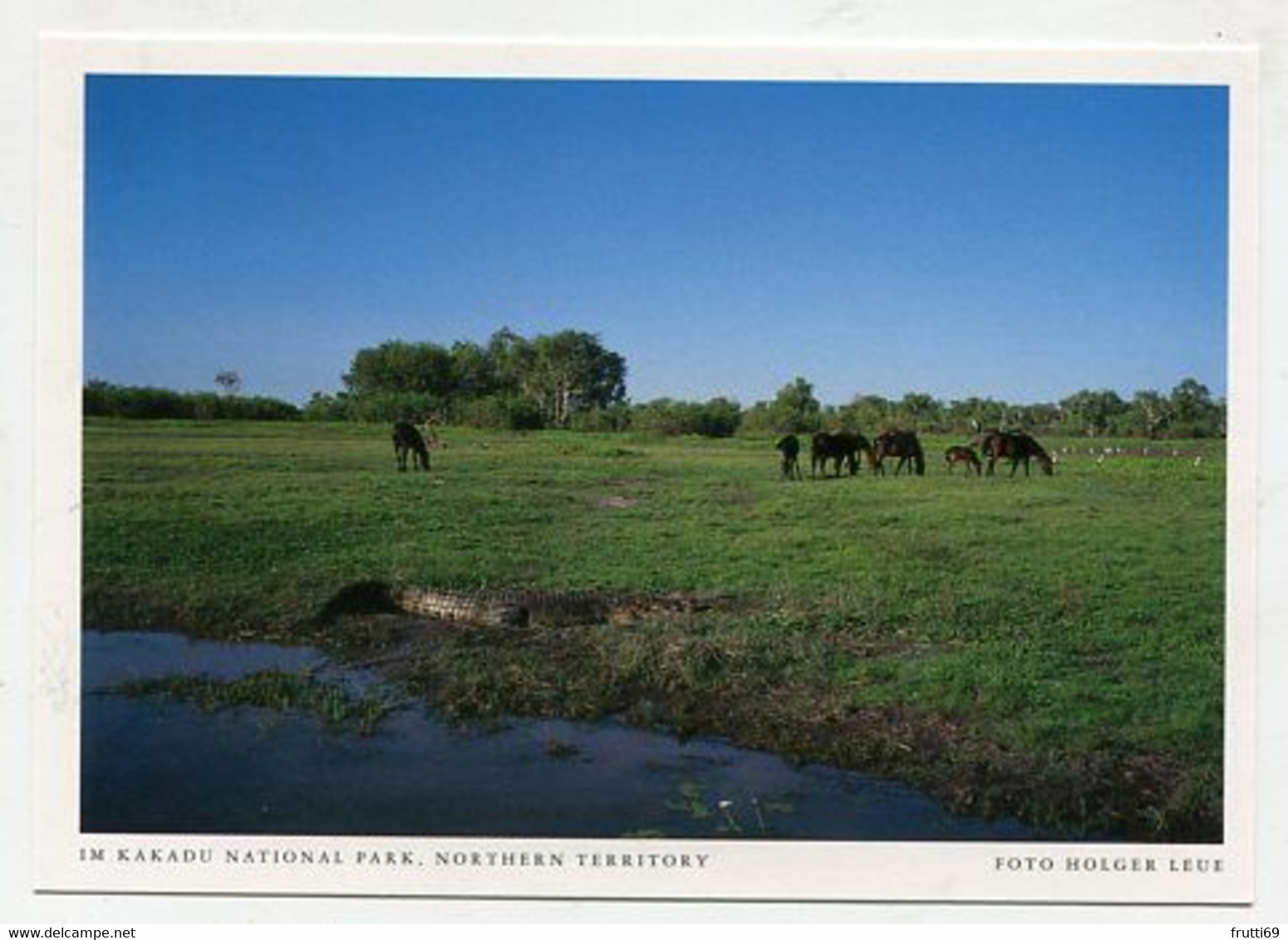 AK 06585 AUSTRALIA - Northern Territory - Im Kakadu National Park - Kakadu