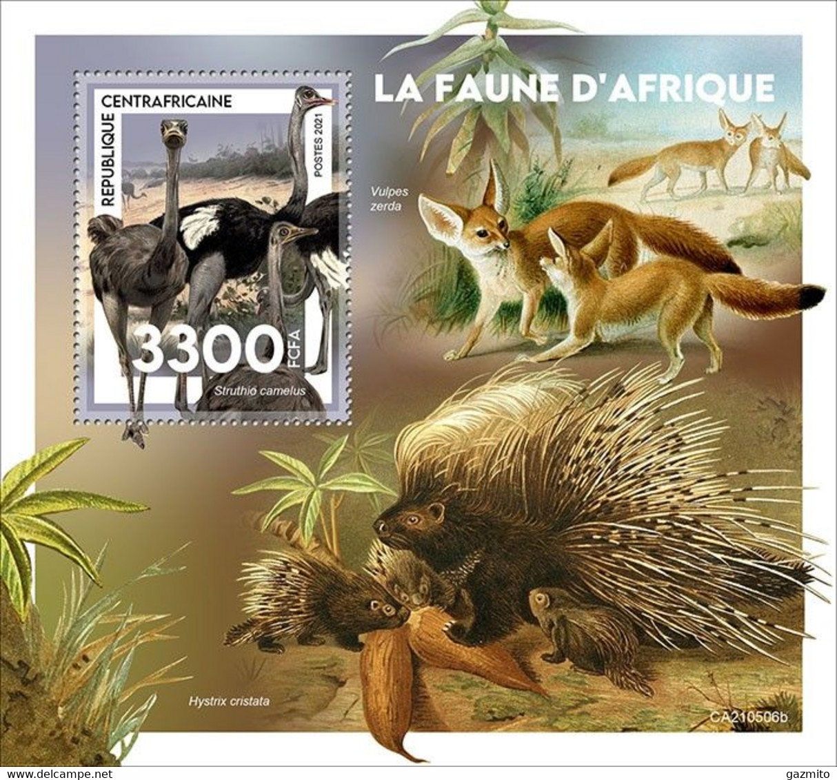 Centrafrica 2021, Animals, Fox, Ostrich, BF - Autruches