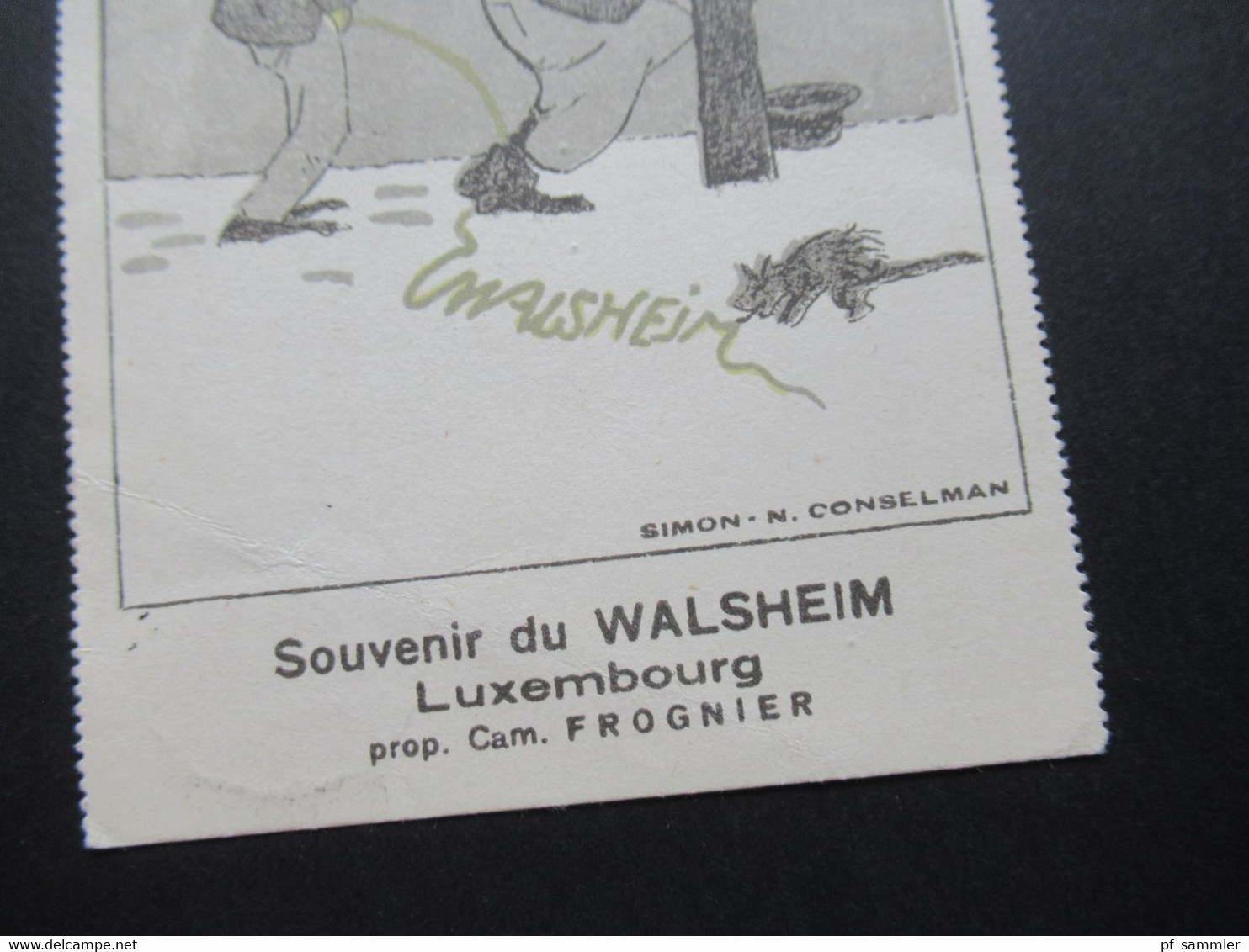 Luxemburg 1920er Jahre Künstlerkarte Karikatur / Spottkarte Souvenir Du Walsheim Simon N. Condelman Editeur Aug. Nimax - 1921-27 Charlotte Frontansicht