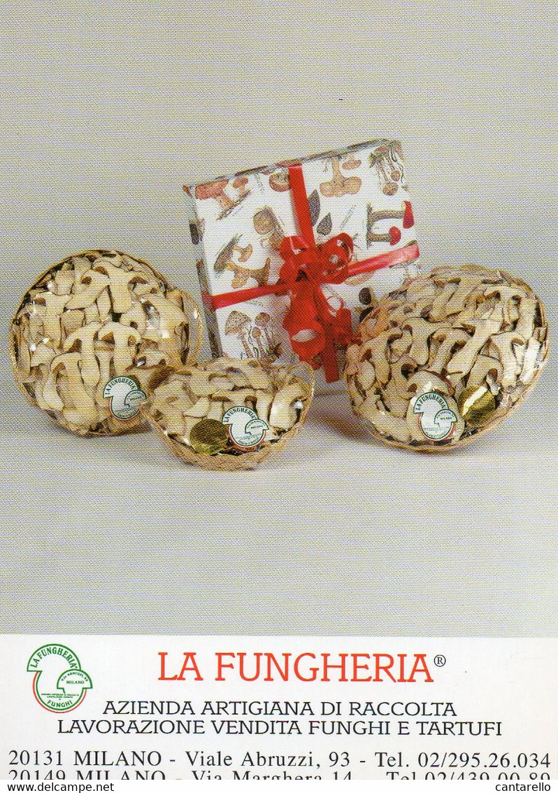 FUNGHI CHAMPIGNONS PILZE MUSHROOMS - Other & Unclassified