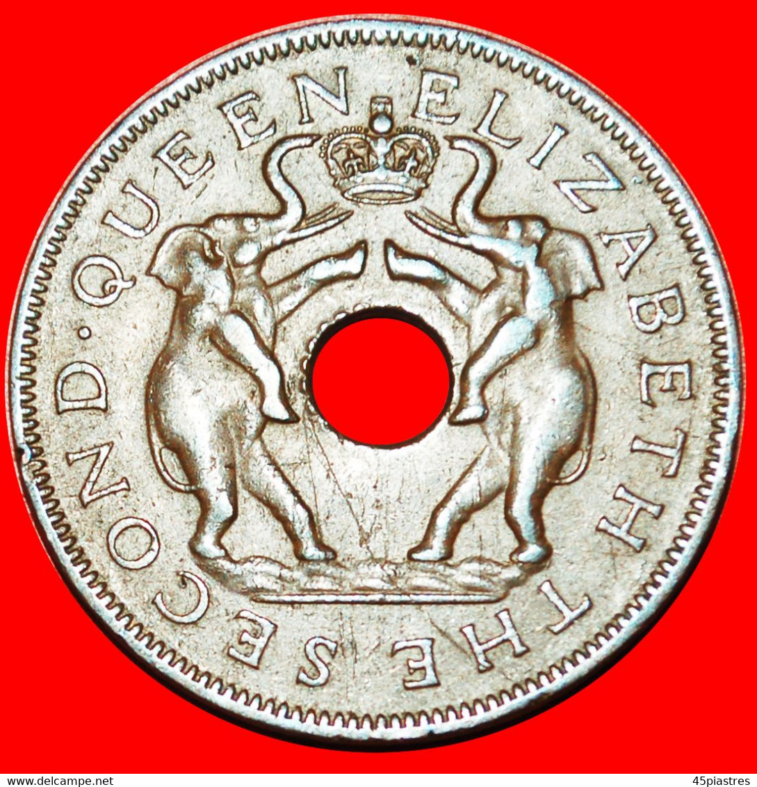 * GREAT BRITAIN (1955-1963): RHODESIA AND NYASALAND ★ 1 PENNY 1958 ELEPHANTS! Die 1. LOW START ★ NO RESERVE! - Rhodesië