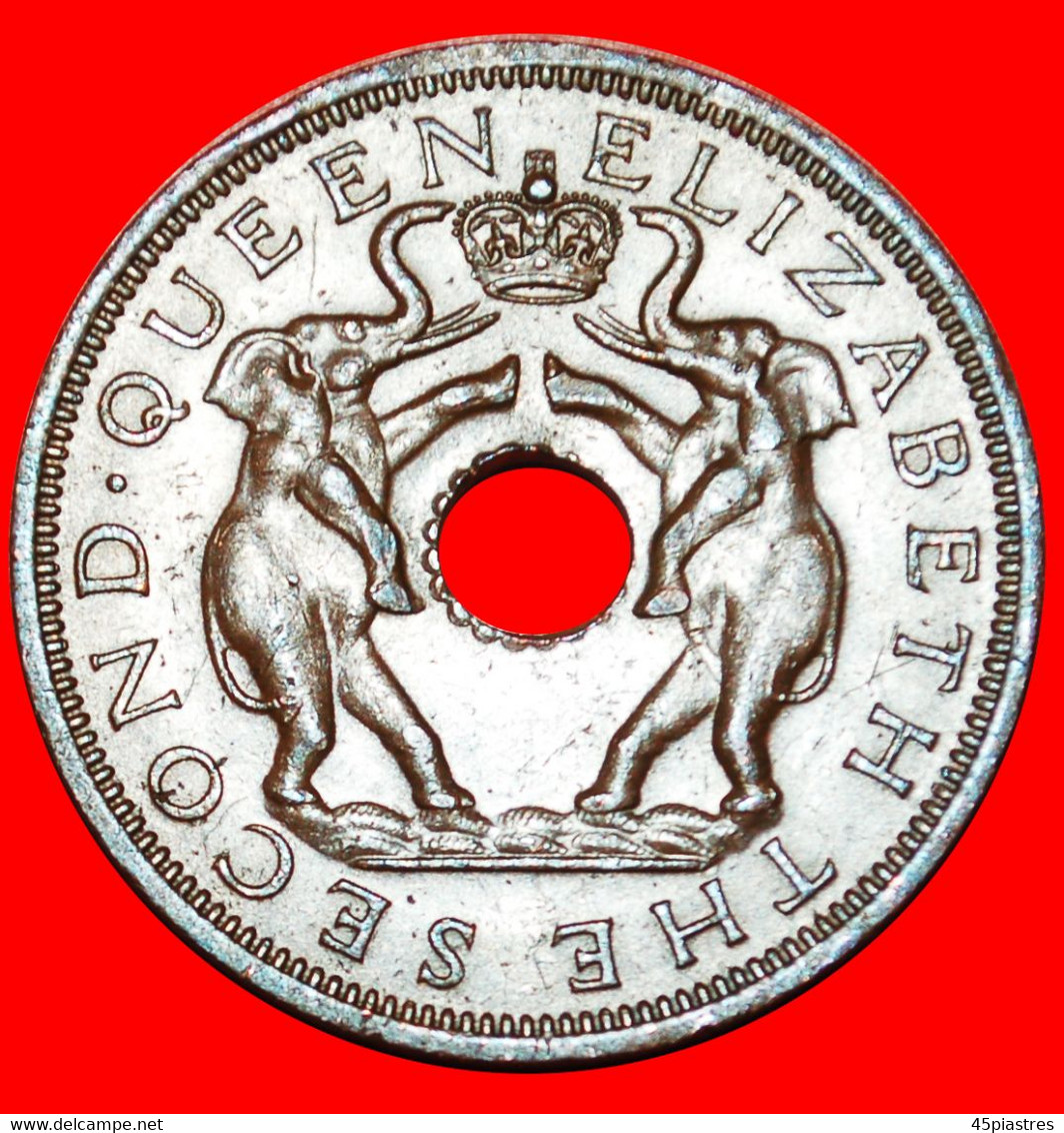 * GREAT BRITAIN (1955-1963): RHODESIA AND NYASALAND ★ 1 PENNY 1963 ELEPHANTS DISCOVERY COIN! LOW START ★ NO RESERVE! - Rhodesia