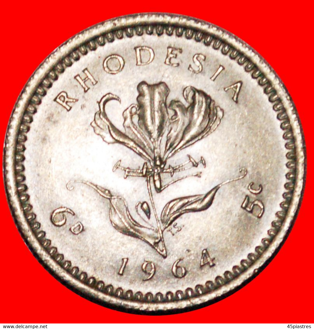 * GREAT BRITAIN DOUBLE DENOMINATION: RHODESIA ★ 6 PENCE - 5 CENTS 1964 MINT LUSTRE! LOW START ★ NO RESERVE! - Rhodesia