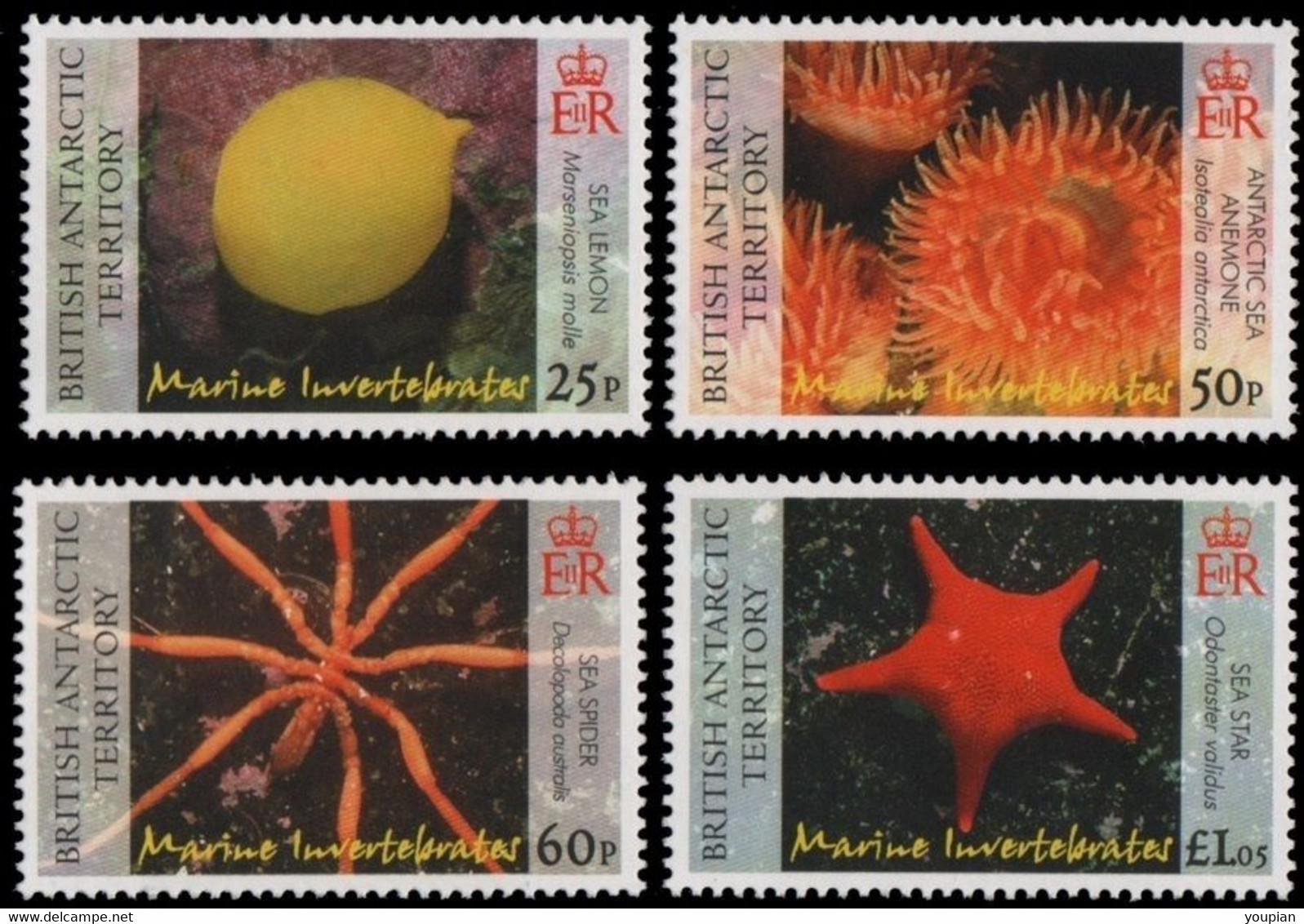 British Antarctic Territory 2007, Marine Life, MNH Stamps Set - Nuevos