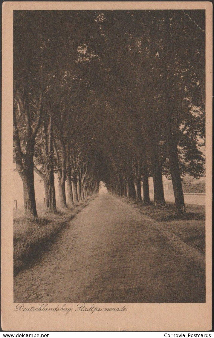 Stadtpromenade, Deutschlandsberg, C.1920 - Franz Pieber AK - Deutschlandsberg