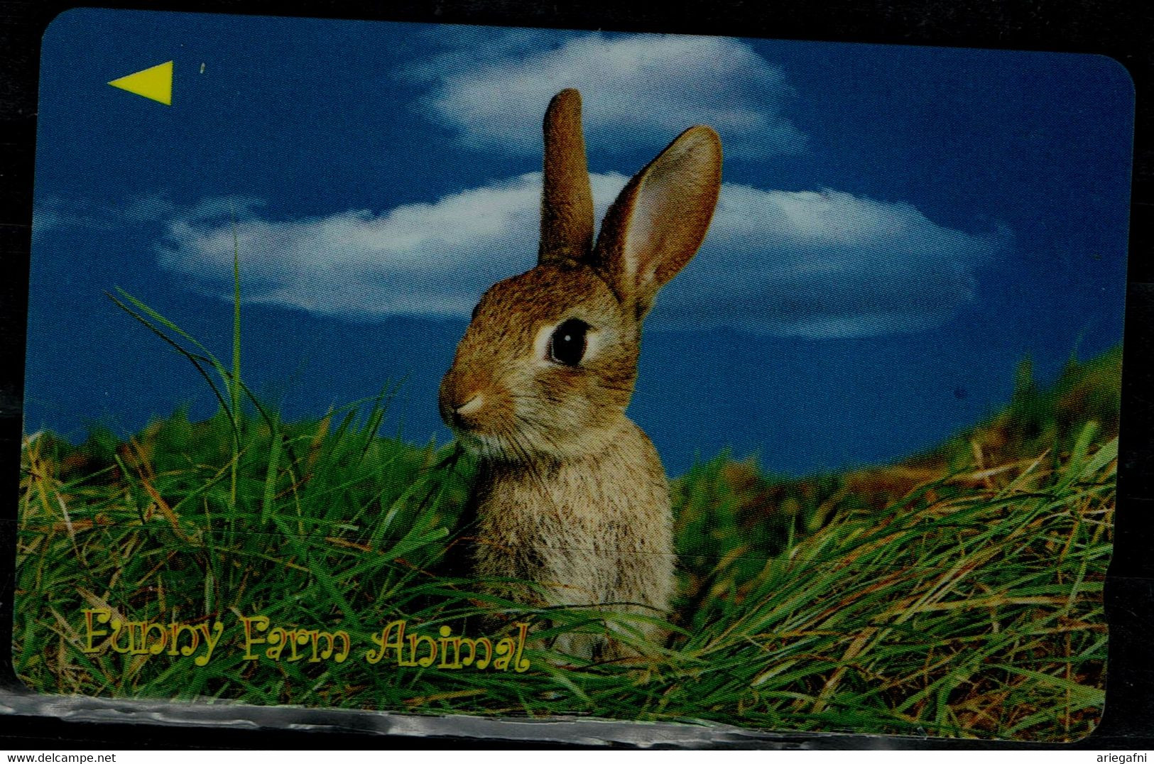 SINGAPORE 2003 PHONECARDS RABBITS USED VF!! - Rabbits