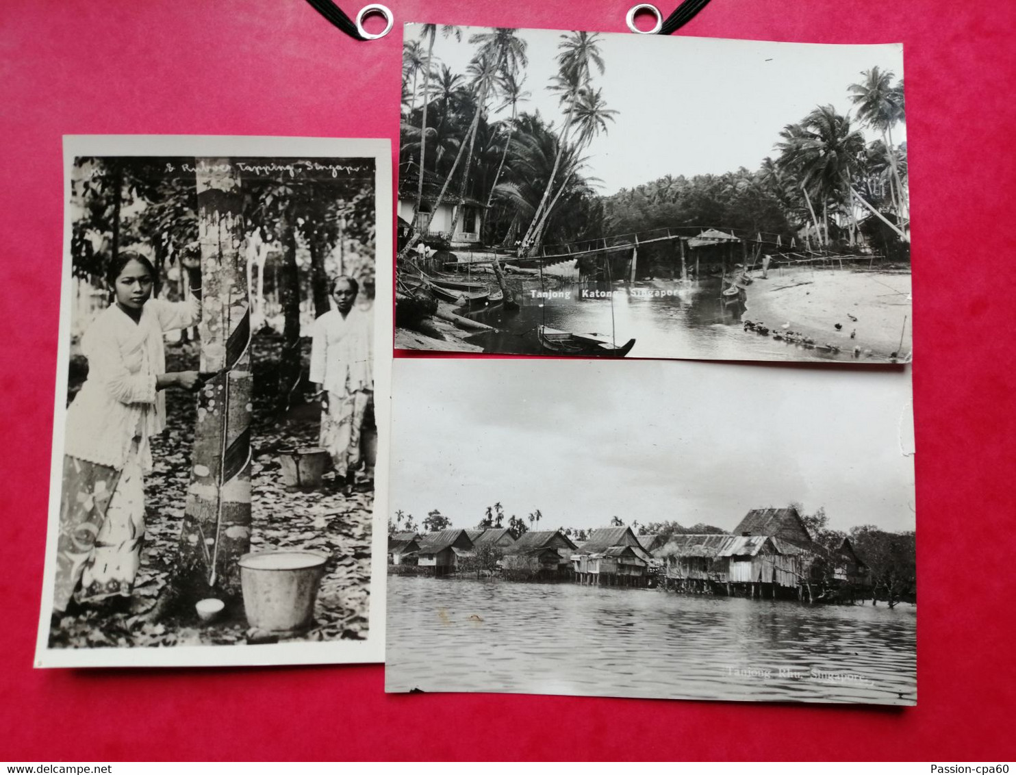 Singapour.Lot De 7 Cartes Postales Anciennes. TBE - Malasia