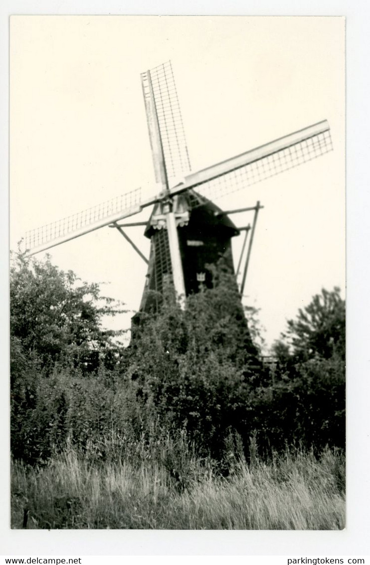 E014 - Gemert - Foto - Molen - Moulin - Mill - Mühle - - Gemert
