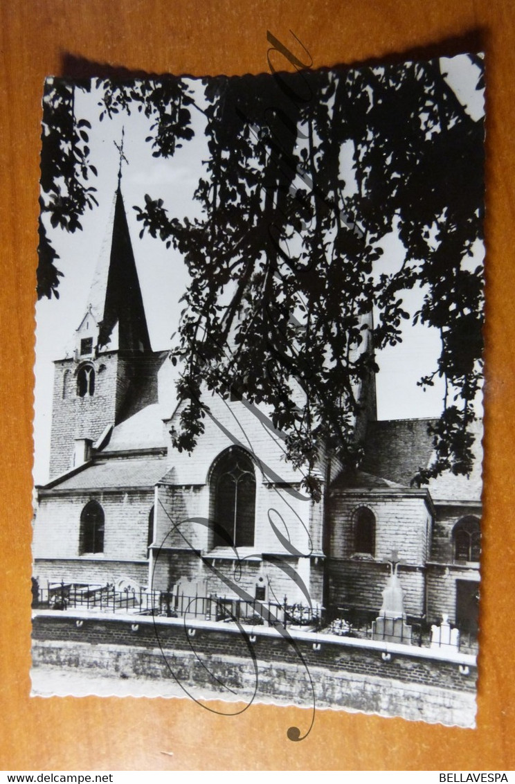 Meerbeek Kerk  St Antonius. - Kortenberg
