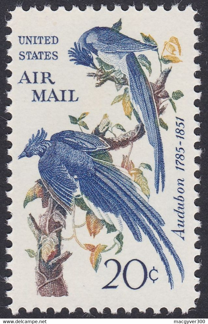 USA, 1967, Oiseau, Pie Du Mexique (Yvert 67) - 3b. 1961-... Ungebraucht