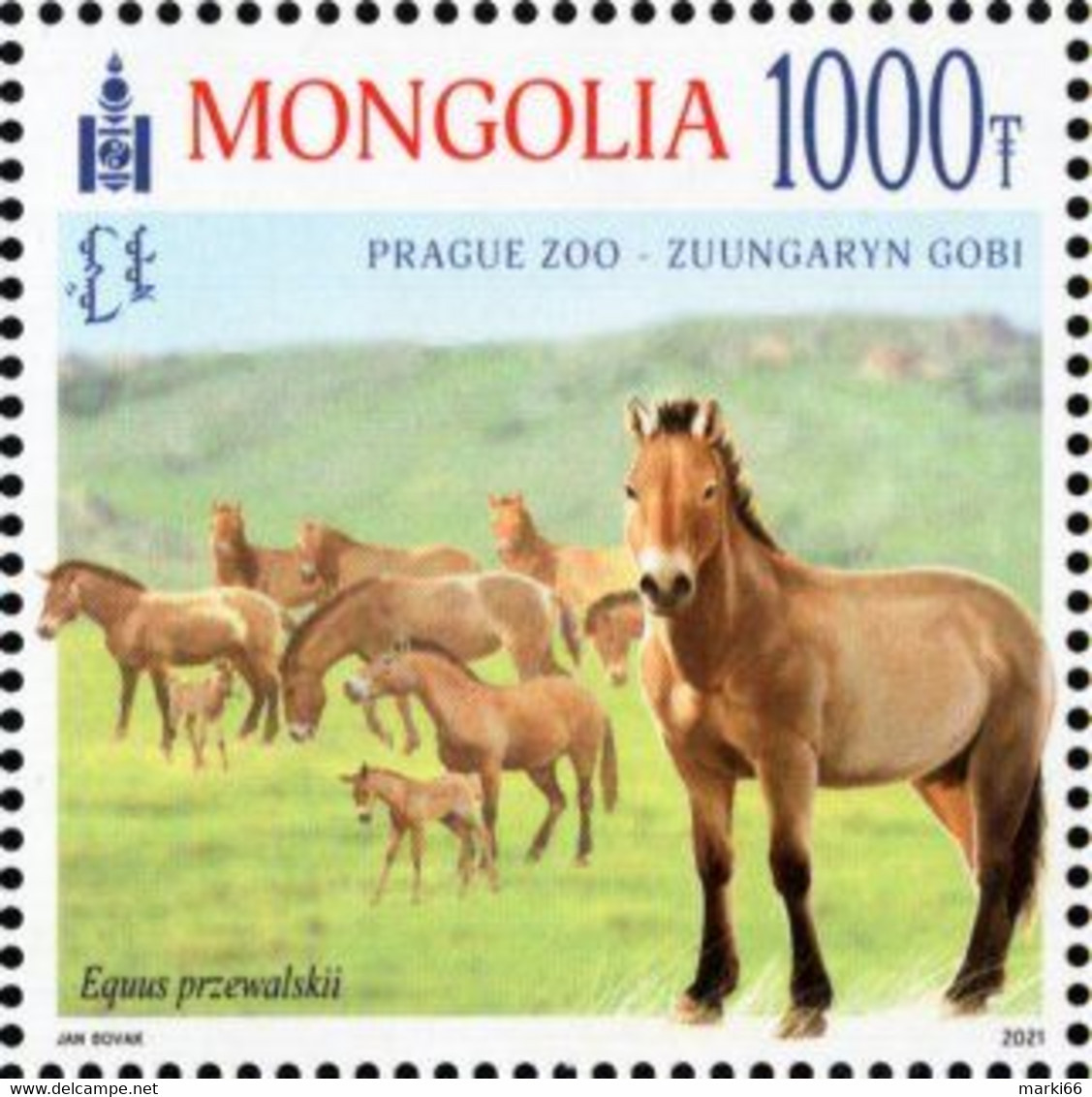 Mongolia - 2021 - Przewalski's Horse (Equus Przewalskii) - From Prague Zoo To Gobi Desert - Mint Stamp - Mongolië
