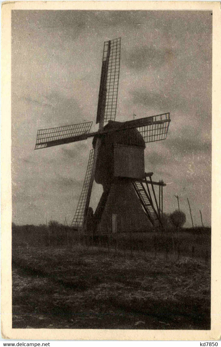 Wigg Bockwindmühle In Augustwalde - Krs. Marienburg - Pommern