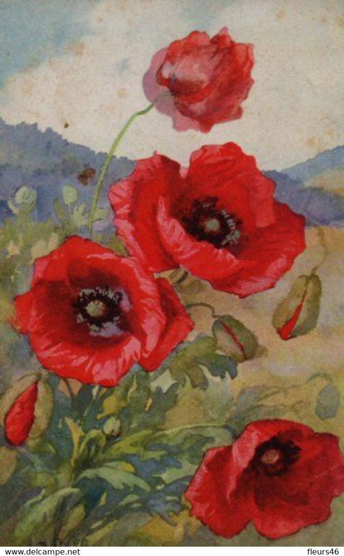 Belle CARTE  Signée A. HALLER : Coquelicots Sur Fond De Montagnes - Haller, A.