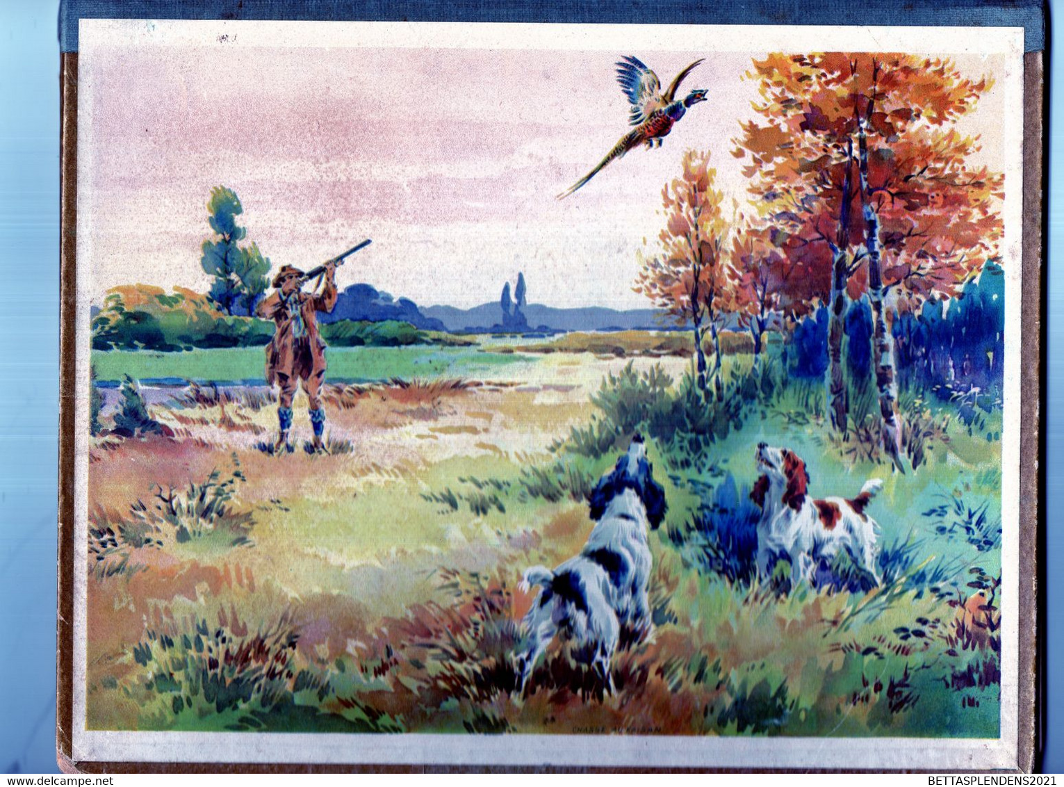 Calendrier 1934 - Chasse - Chasseur, Faisan Et Chiens - Grand Format : 1921-40