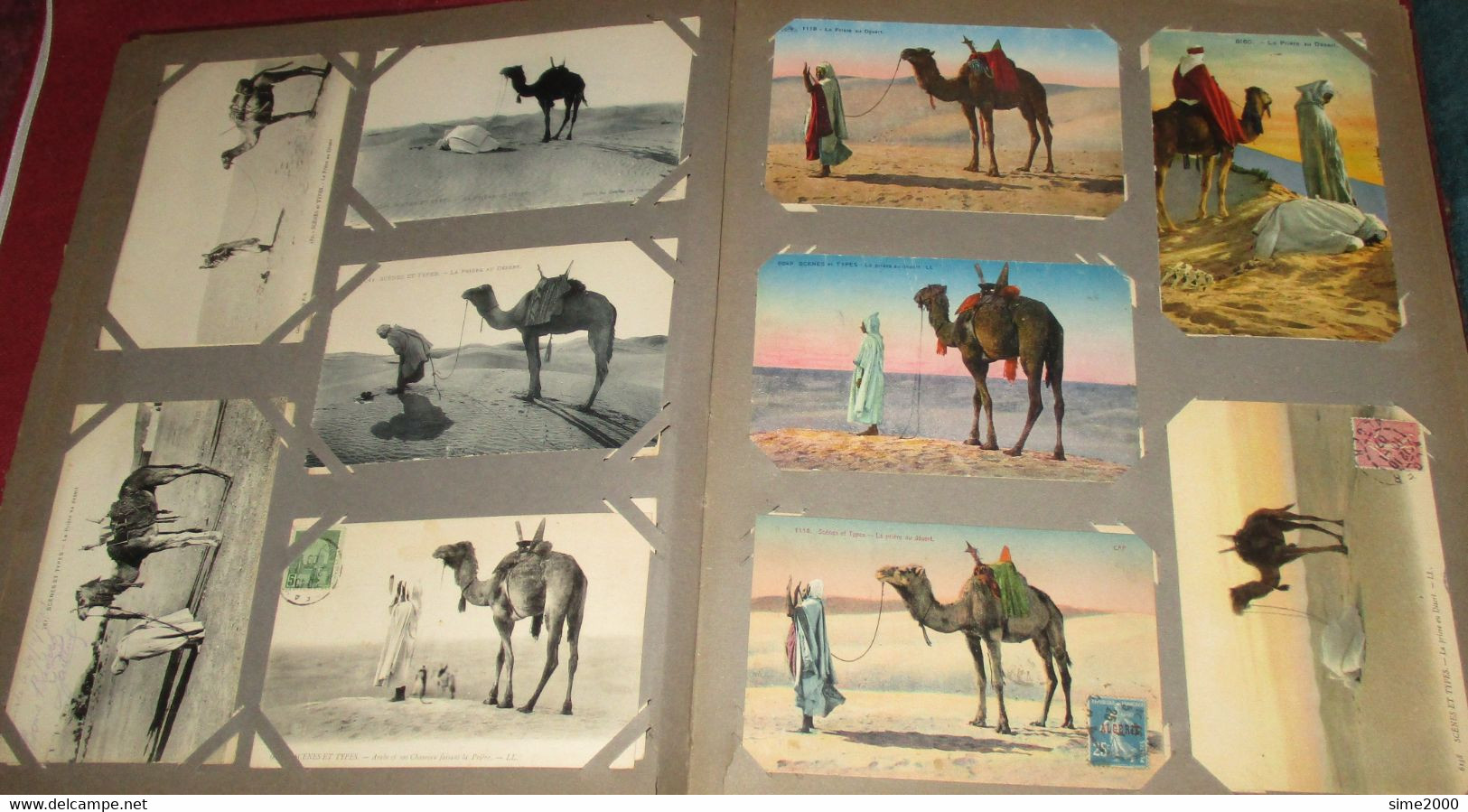 ALBUM 450 CPA Afrique du Nord – Maroc, Algérie, Tunisie – Scènes types - Métiers