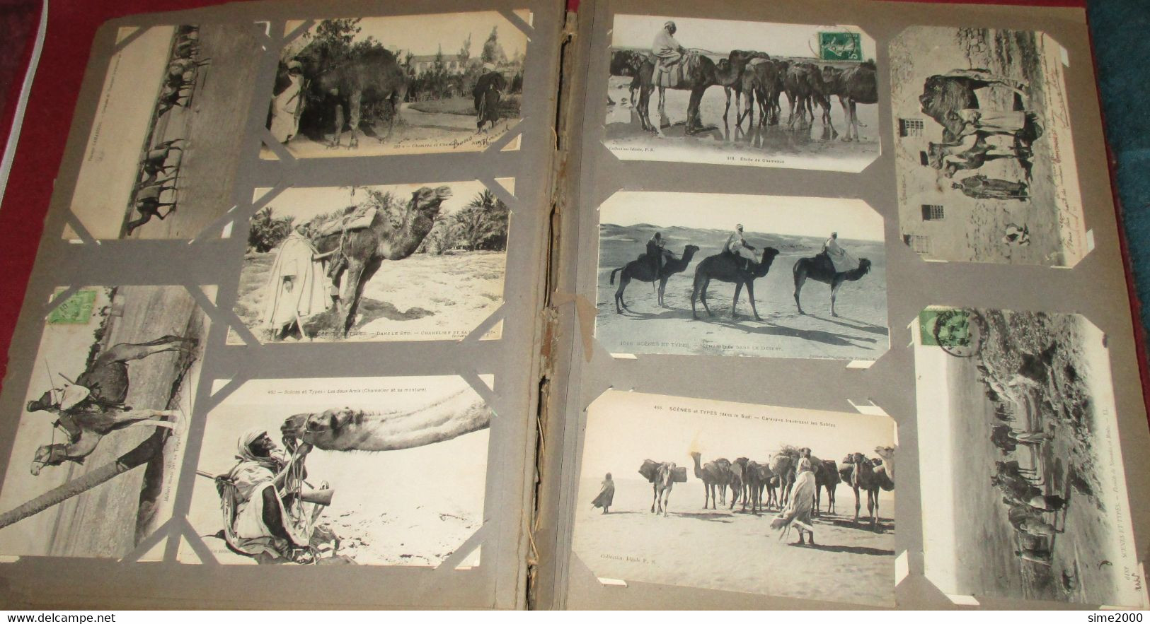 ALBUM 450 CPA Afrique du Nord – Maroc, Algérie, Tunisie – Scènes types - Métiers