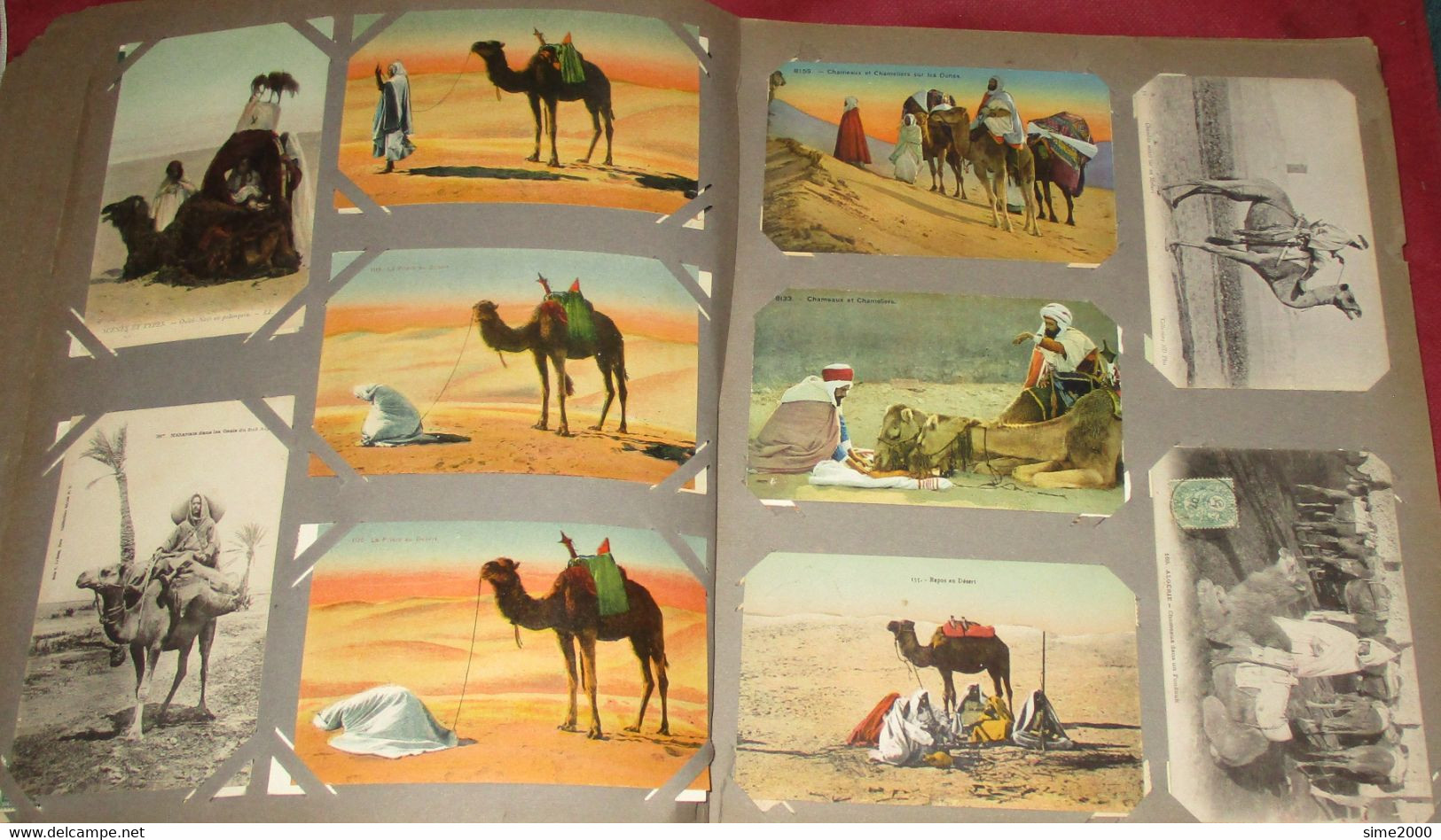 ALBUM 450 CPA Afrique du Nord – Maroc, Algérie, Tunisie – Scènes types - Métiers