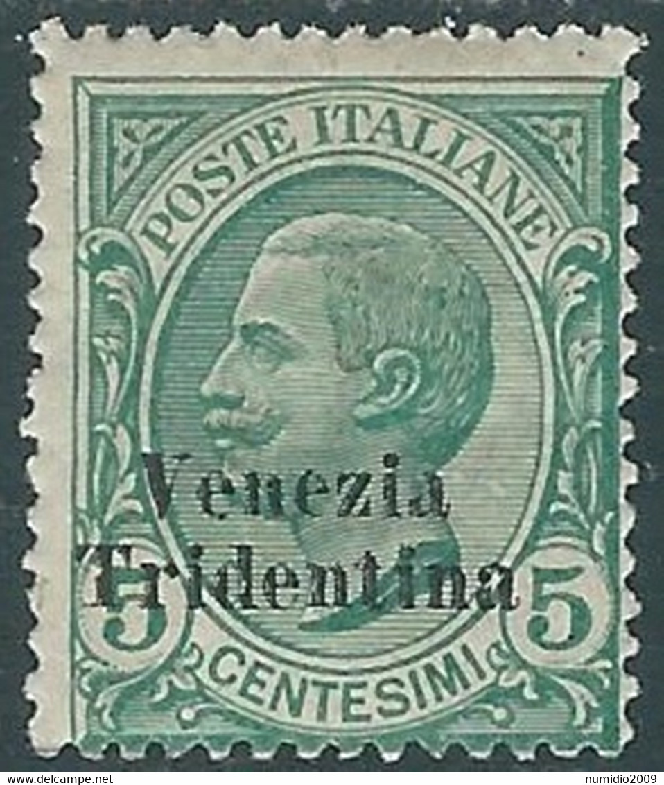 1918 TRENTINO ALTO ADIGE VENEZIA TRIDENTINA EFFIGIE 5 CENT MH * - RA13-2 - Trentin