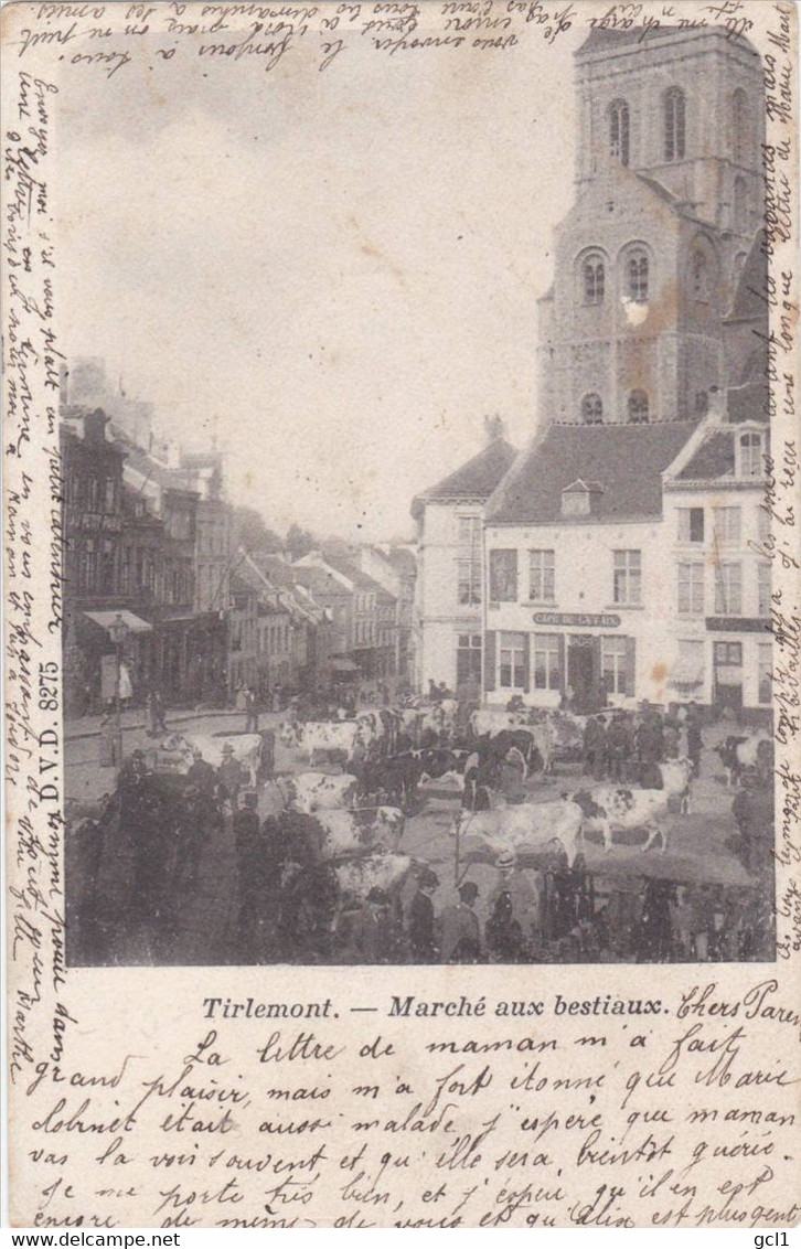 Tienen - Marché Aux Bestiaux - Tienen