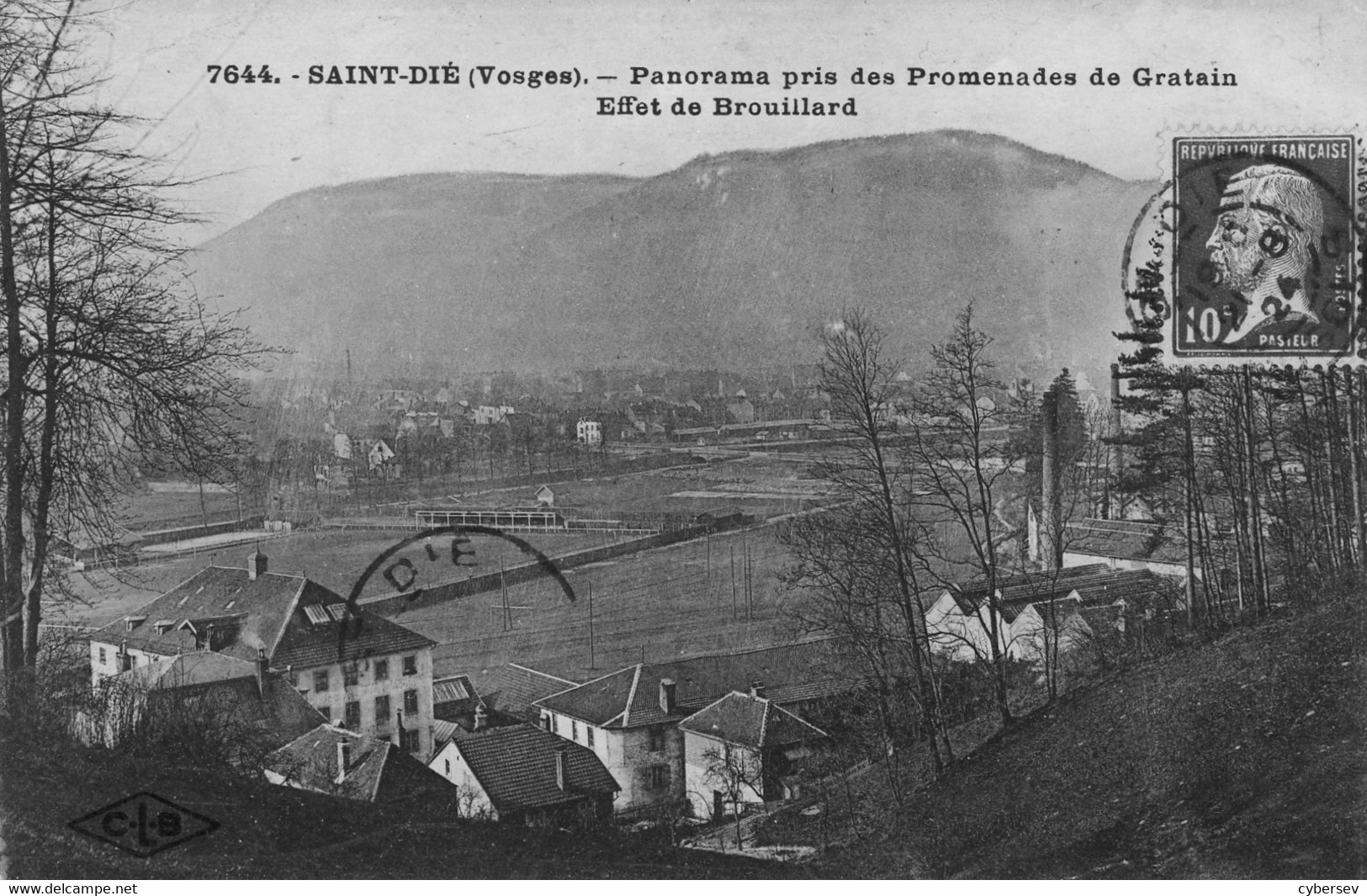 SAINT-DIE - Panorama Pris Des Promenades De Gratain - Saint Die