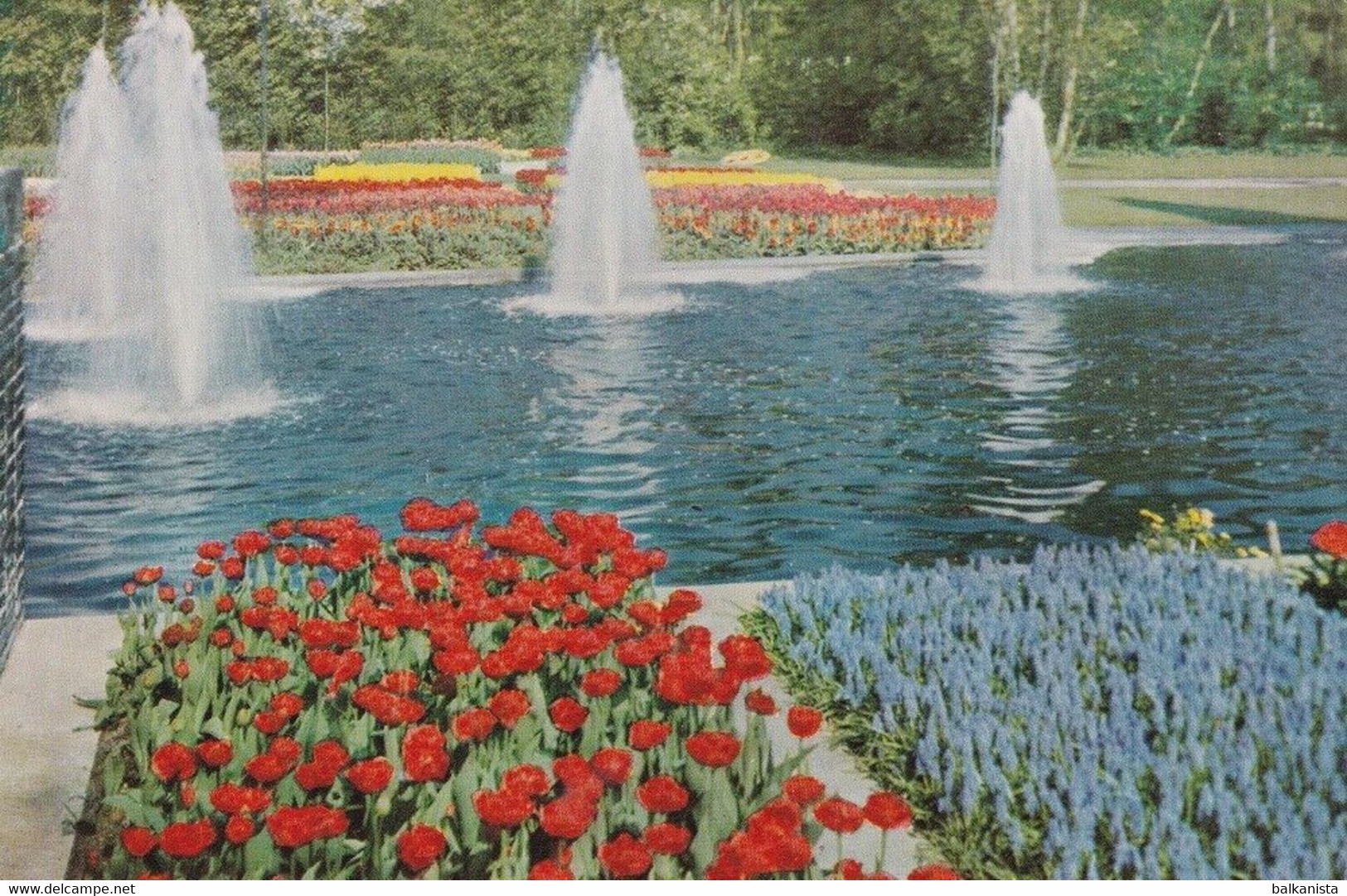 Holland Keukenhof Lisse Postcard - Lisse