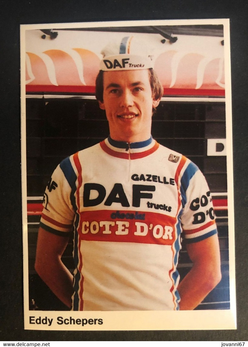 Eddy Schepers - DAF - 1981 - Carte / Card - Cyclist - Cyclisme - Ciclismo -wielrennen - Wielrennen