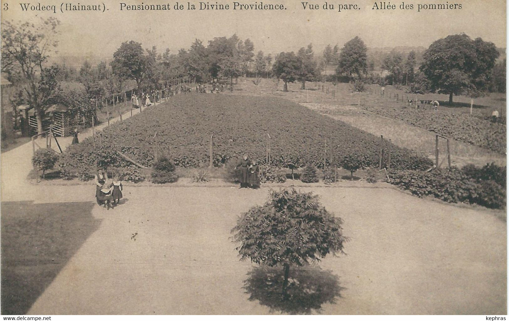 3 WODECQ : Pensionnat Des Dames De La Providence- Vue Du Parc - Allée Des Pommiers - Ellezelles