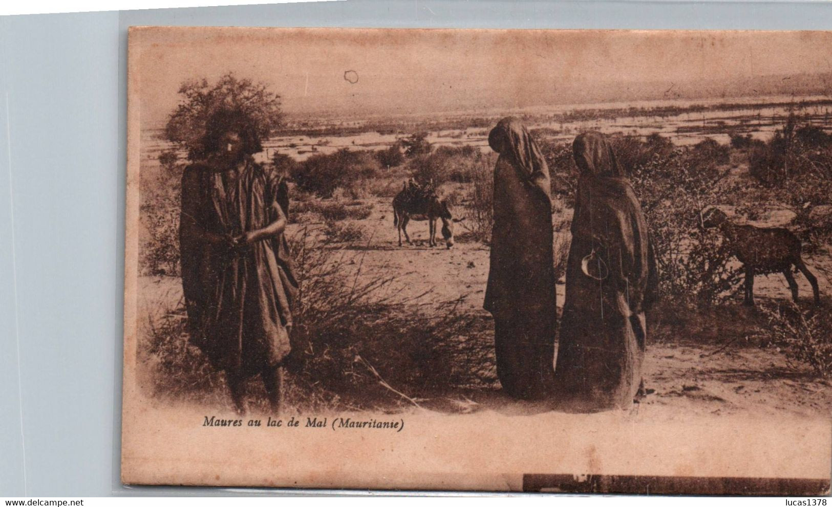 MAURITANIE / MAURES AU LAC DE MAL - Mauritanie