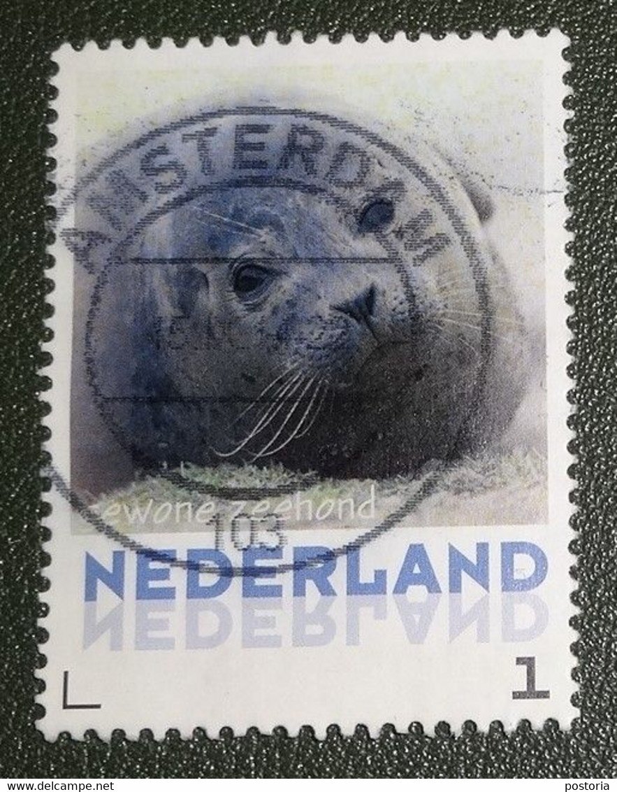 Nederland - NVPH - 3013-Aa-15 - Zoogdieren - 2013 - Persoonlijke Gebruikt - Gewone Zeehond - Timbres Personnalisés