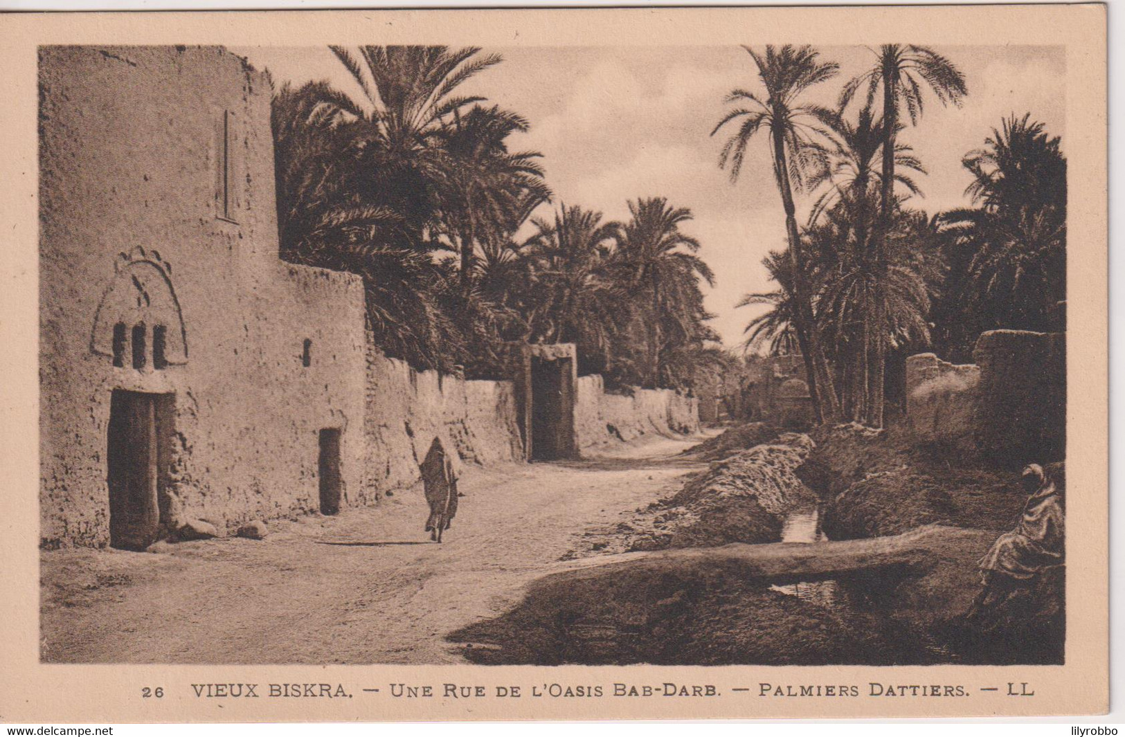 ALGERIA - View BISKRA -Une Rue De L'Oasis BAb-Dare - Palmiers Dattiers By LL - Biskra