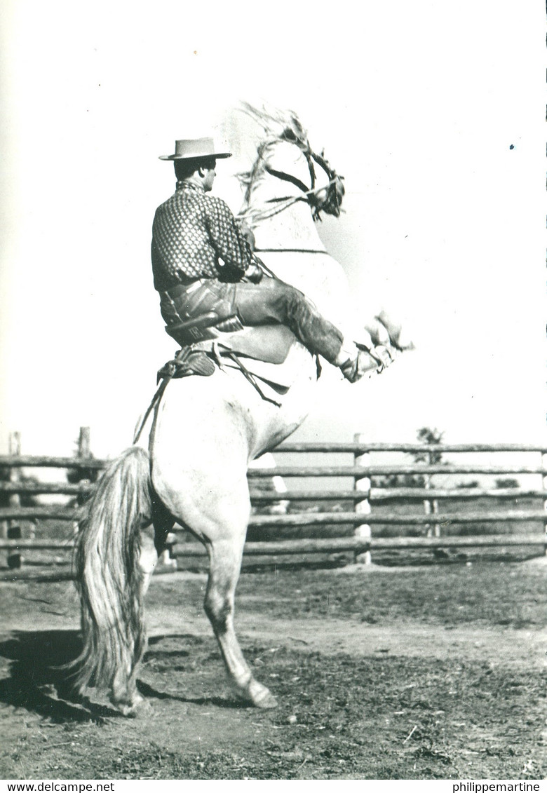 Dressage De Chevaux Par Un Gardian De Camargue - Pferde