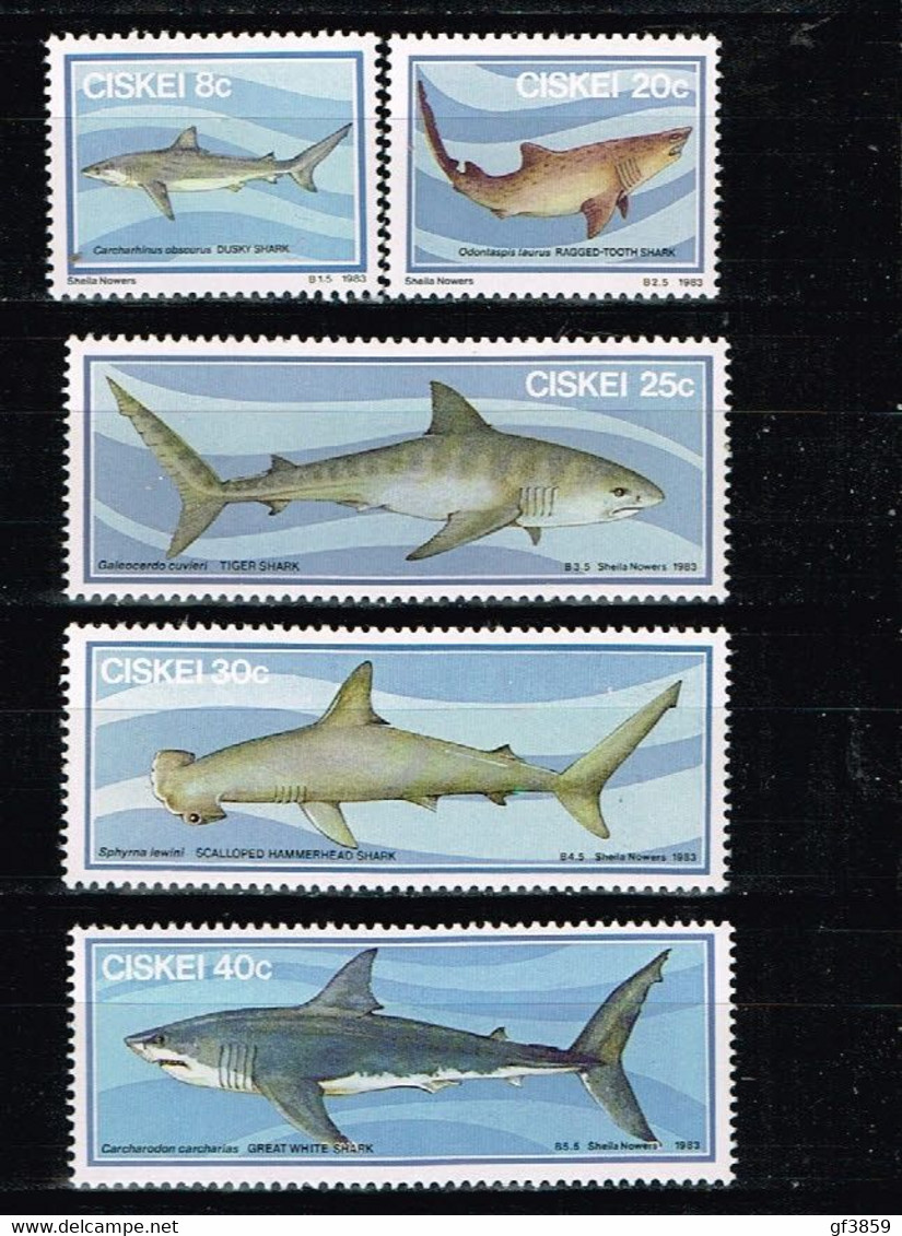 CISKEI / Neufs ** / MNH** / 1983 - Requins - Ciskei