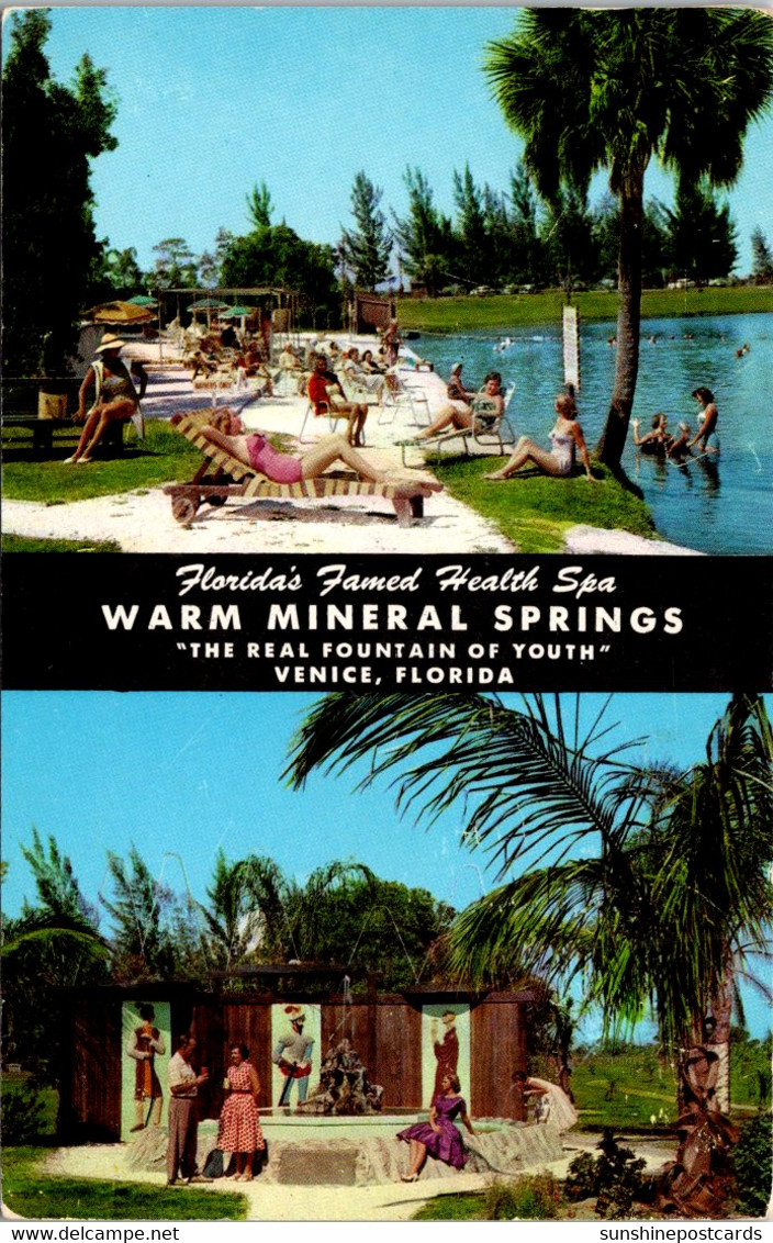 Florida Venice Warm Mineral Springs 1959 - Venice