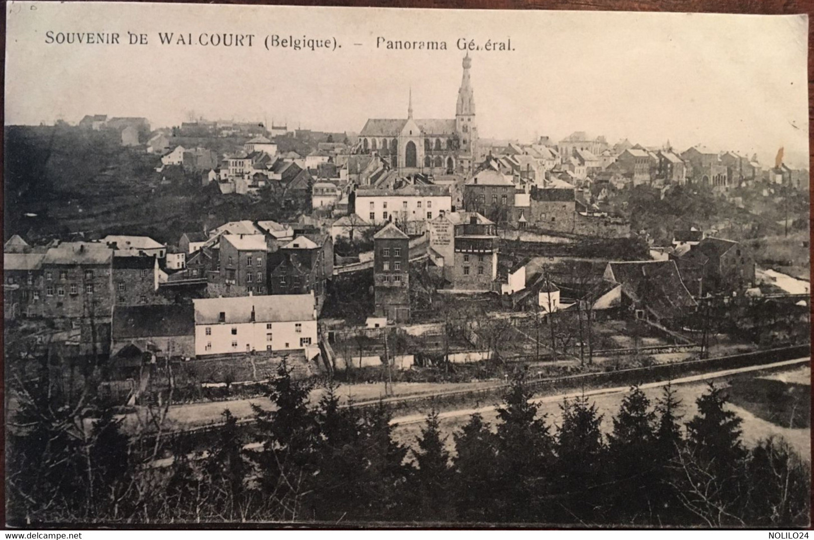 Cpa, Souvenir De Walcourt, Panorama Général, (éd Sylvain Lagouge, Photographe à Thuin), BELGIQUE, Non écrite - Cerfontaine