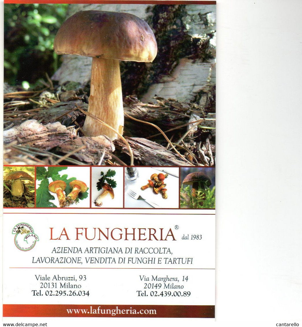 FUNGHI CHAMPIGNONS PILZE MUSHROOMS BOSCO - Other & Unclassified