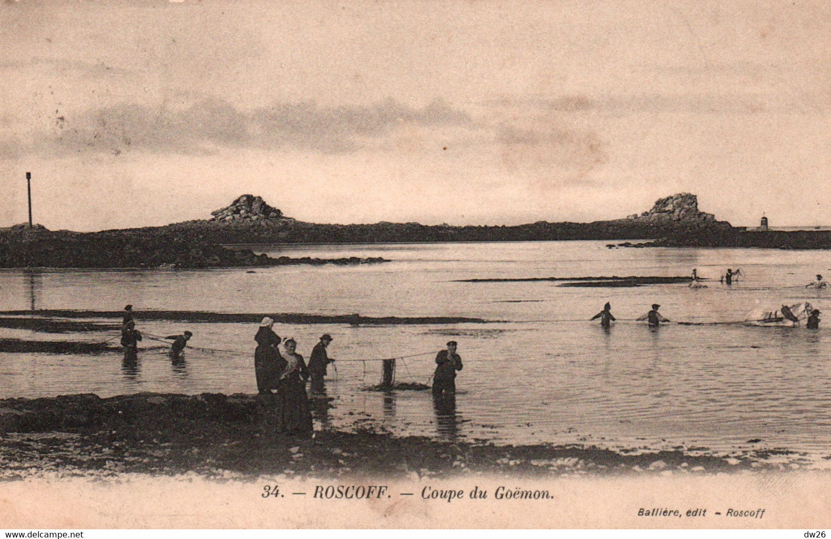 Roscoff (Finistère) Coupe Et Récolte Du Goëmon - Edition Ballière - Carte N° 34 - Roscoff