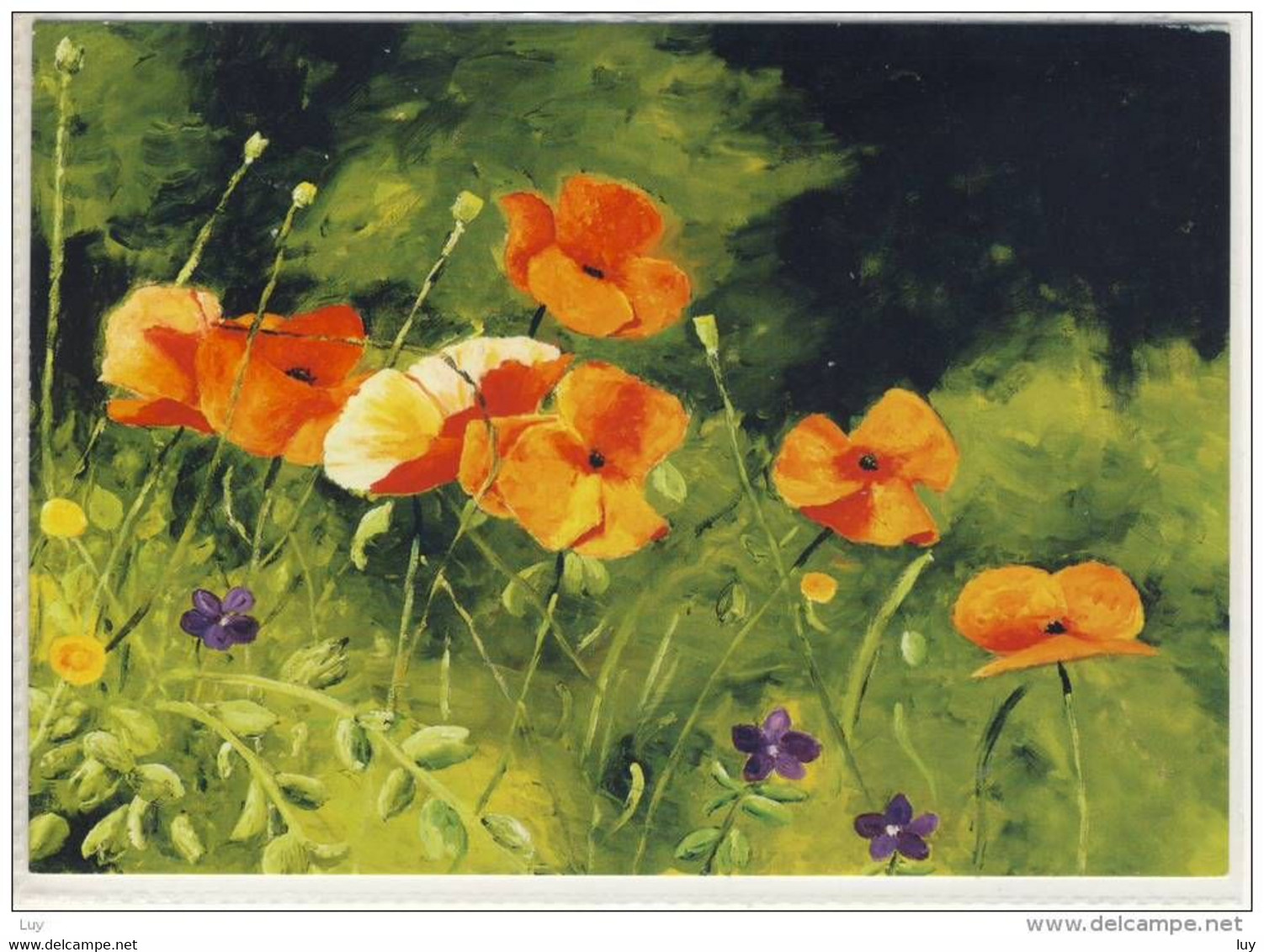 Roter MOHN - Original Fußgemalt Von Antje Kratz, Sondermarke - Plantes Médicinales